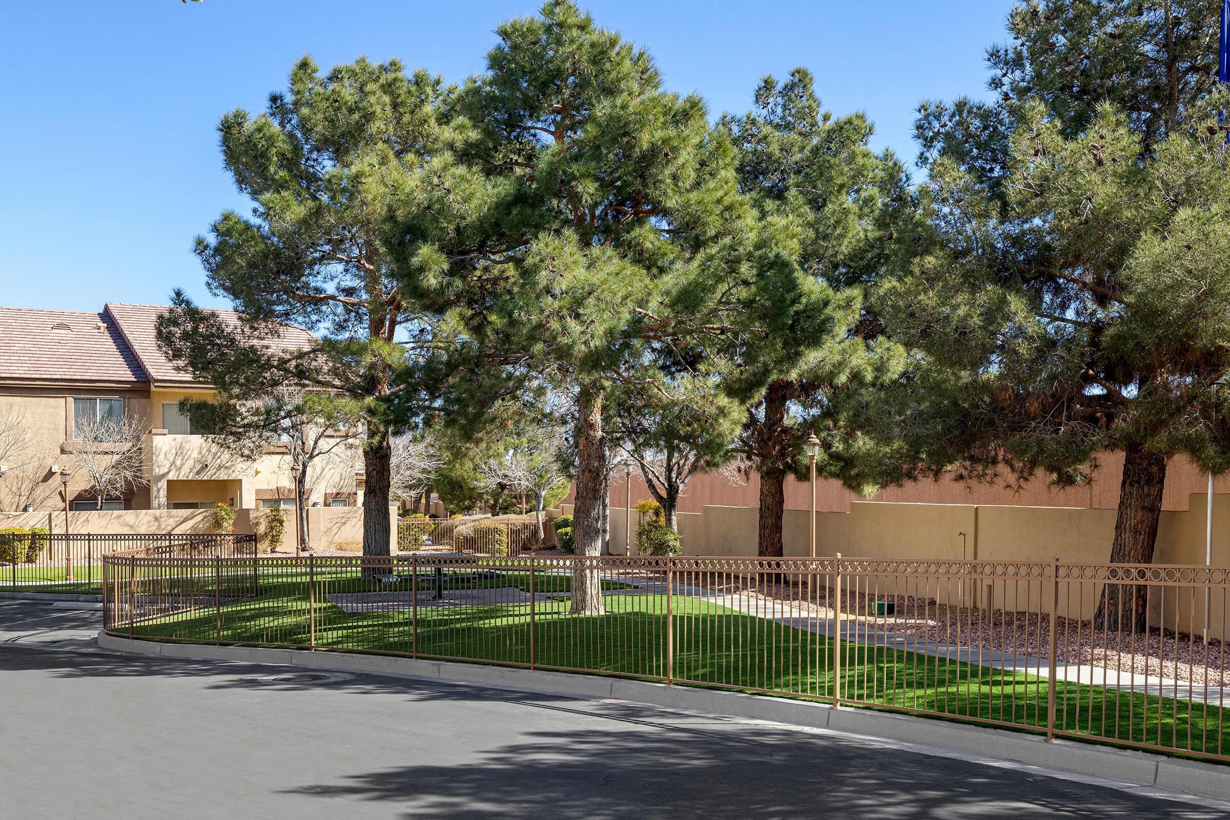 A residential area featuring lush green grass, numerous tall pine trees, and a curved metal fence. In the background, there are beige buildings with a clear blue sky above, indicating a sunny day. The scene is tranquil and well-maintained, ideal for outdoor relaxation.