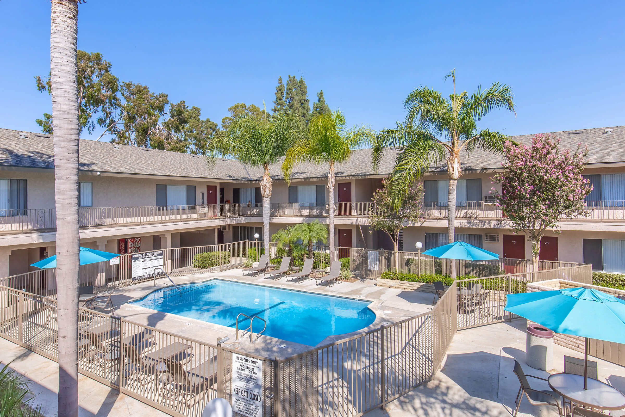 A view of a courtyard with a sparkling swimming pool surrounded by lounge chairs and umbrellas. Palm trees and flowering plants add greenery. The two-story building features multiple entrances with closed doors, set against a clear blue sky.
