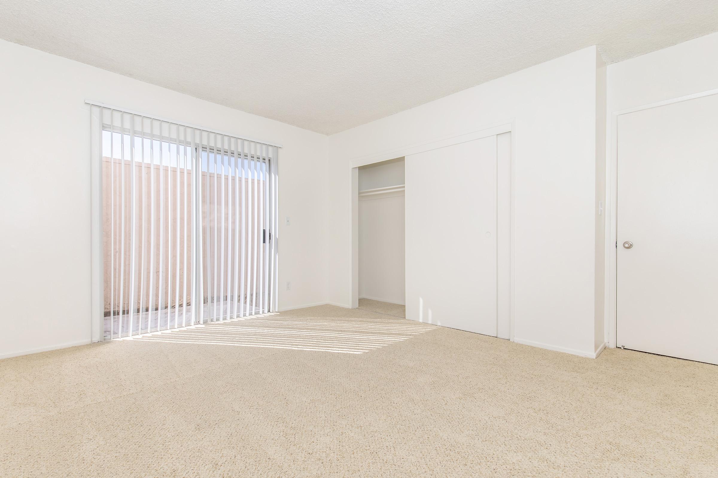 A bright, empty room with light-colored walls and carpet. It features a large window with vertical blinds allowing natural light, a closet with sliding doors, and a door leading outside. The space is clean and minimalist, suitable for various uses.
