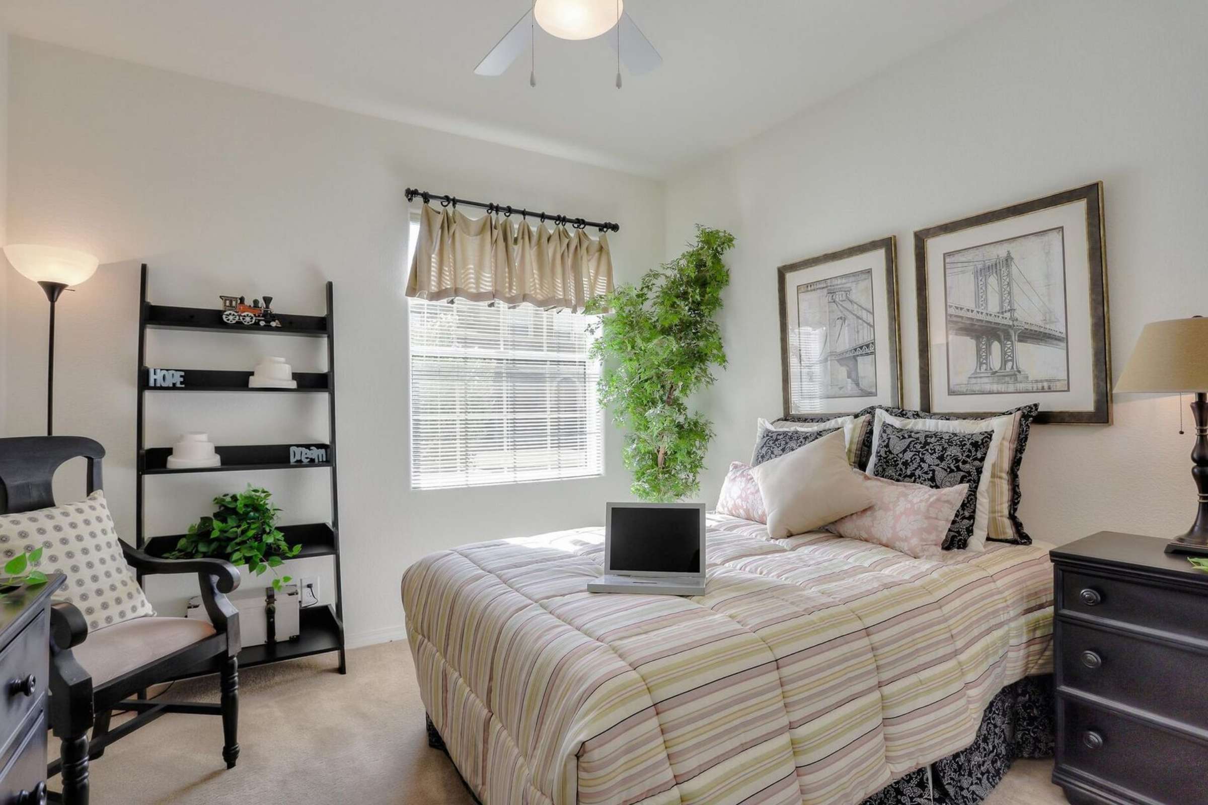 Apartment Features
