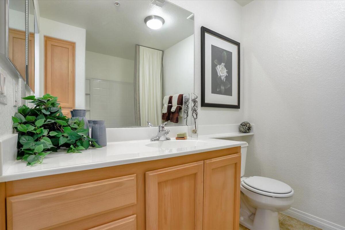 Modern bathroom featuring a white countertop with a sink, wooden cabinetry, a large mirror, and tasteful decor including a framed picture and neatly arranged towels. Green foliage accents the vanity, and there is a toilet and shower area visible in the background. Bright lighting enhances the clean, minimalist design.