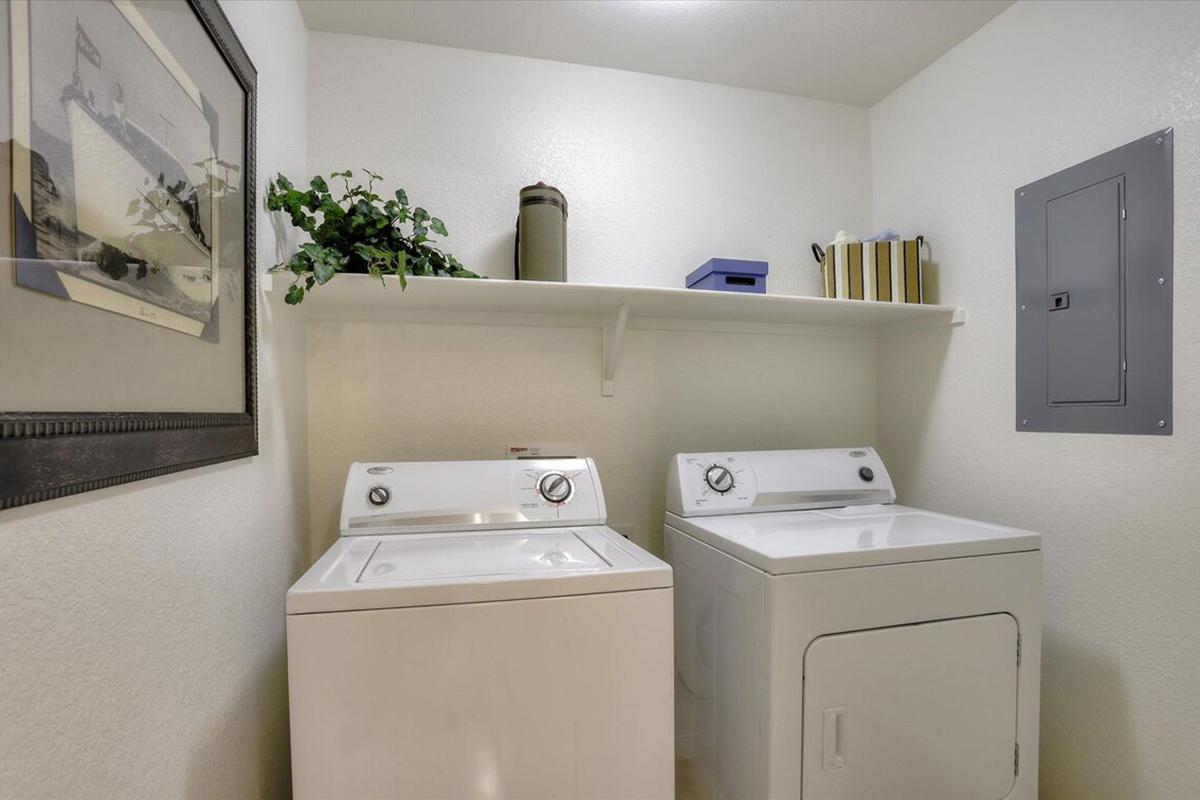 A clean laundry room featuring two white washing machines side by side. Above them is a shelf with a few decorative items and a potted plant. The walls are light-colored, and there's a framed picture on the left. A grey electrical panel is mounted on the right.