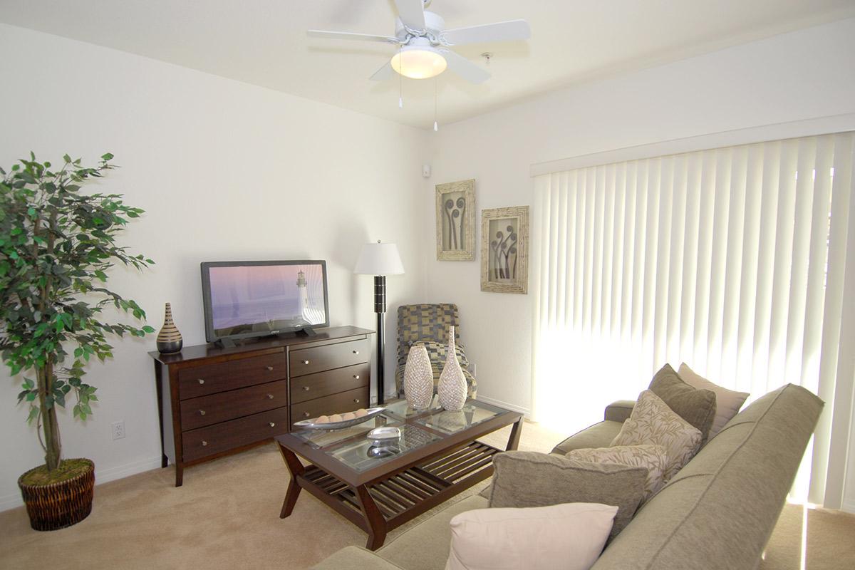A bright living room featuring a light-colored sofa adorned with pillows, a coffee table with decorative vases, a flat-screen TV, and a chair next to a lamp. Decorative wall art and a potted plant complete the cozy atmosphere, with sunlight streaming through vertical blinds.