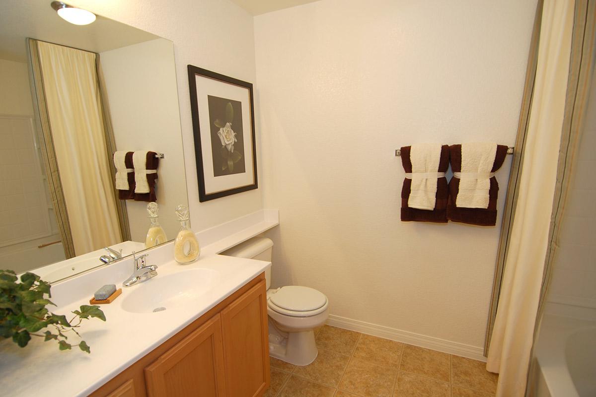 A modern bathroom featuring a large mirror above a sink with wooden cabinetry. There are two neatly folded brown and cream towels hanging near the sink. A plant in a small pot is on the countertop, and a shower area is visible through a curtain. The walls are simple and painted white, creating a clean, minimalist look.