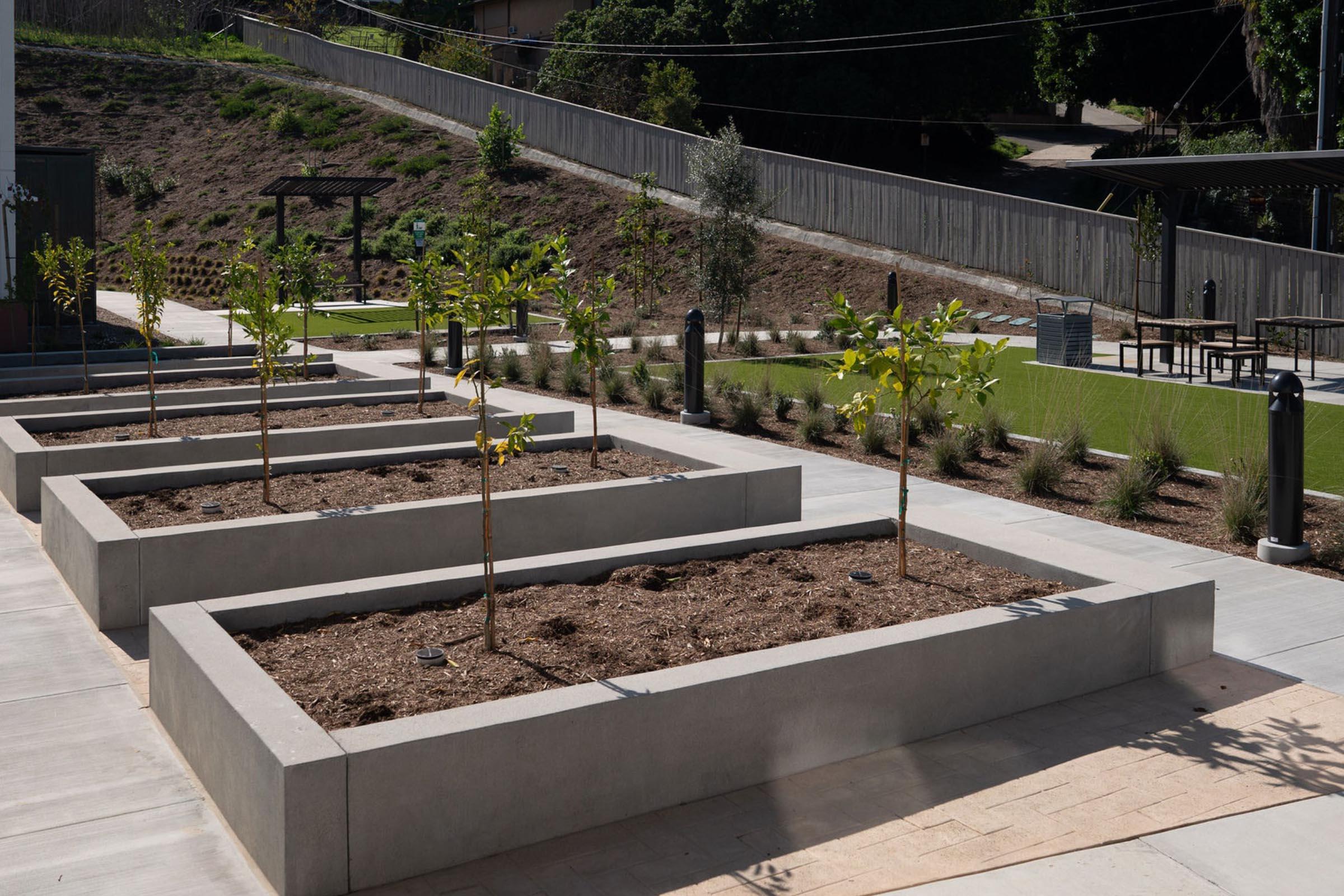 A view of a landscaped outdoor area featuring raised garden beds with young trees planted in them. The space includes a grassy area in the background and a wooden structure for shade. Modern landscaping elements and pathways create a clean, organized environment.