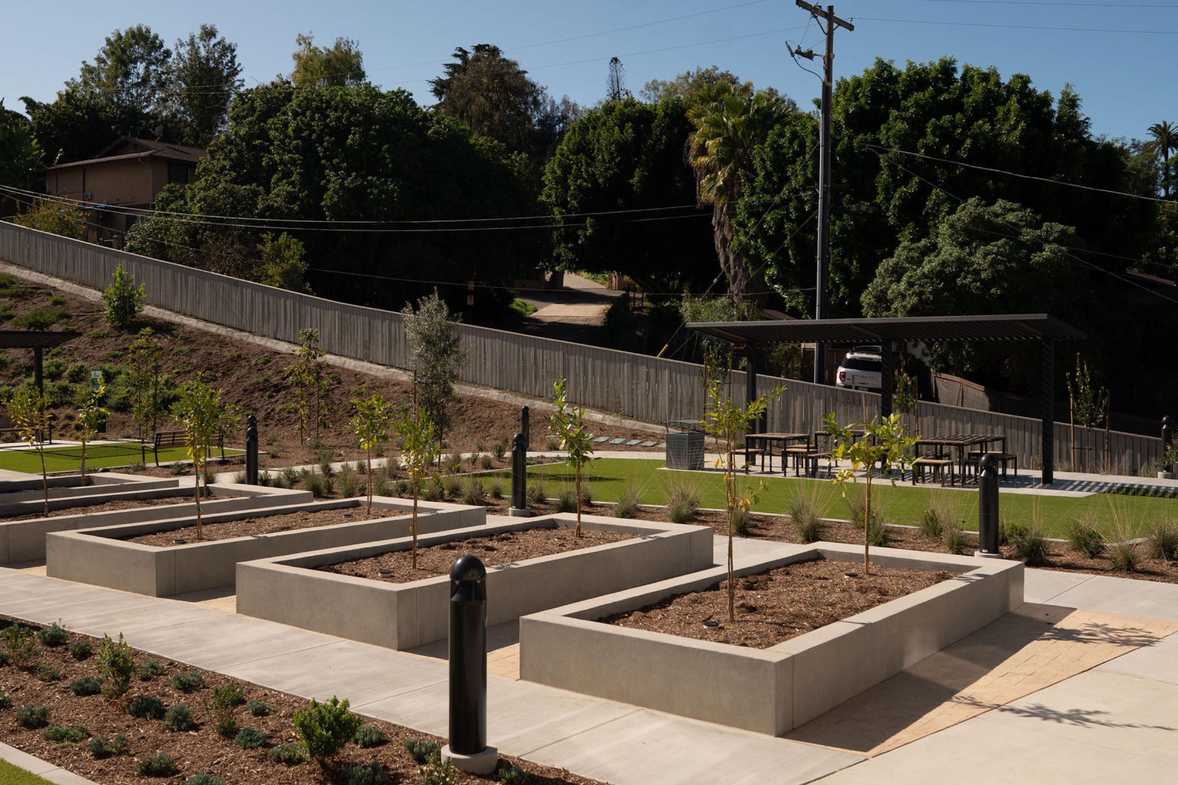 A landscaped outdoor area featuring several raised garden beds, each with small trees planted inside. In the background, there are tall green trees and a wooden fence. A picnic table with a shaded roof is visible, along with power lines and a vehicle parked nearby. The space is sunny and inviting.