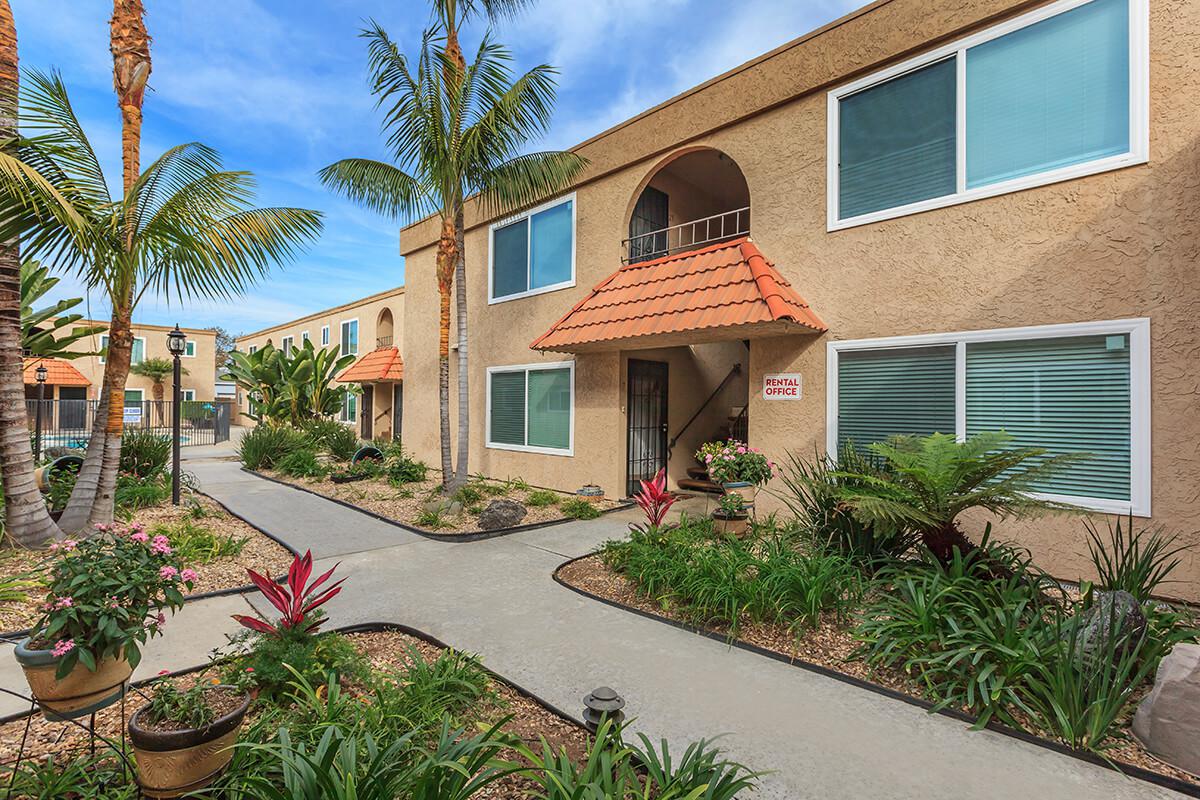 a palm tree in front of a house