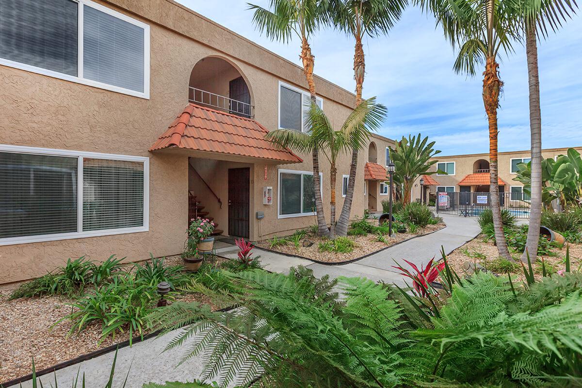 a palm tree in front of a house