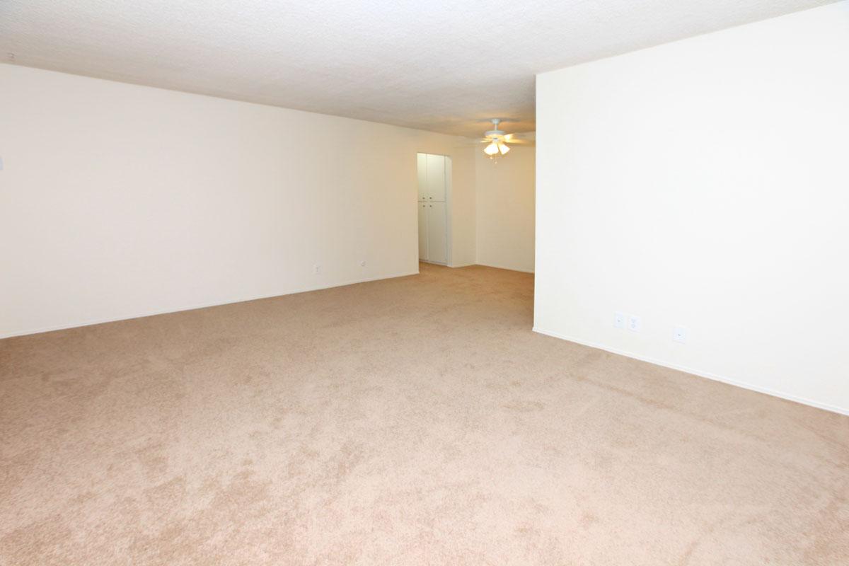 a room with a wooden floor