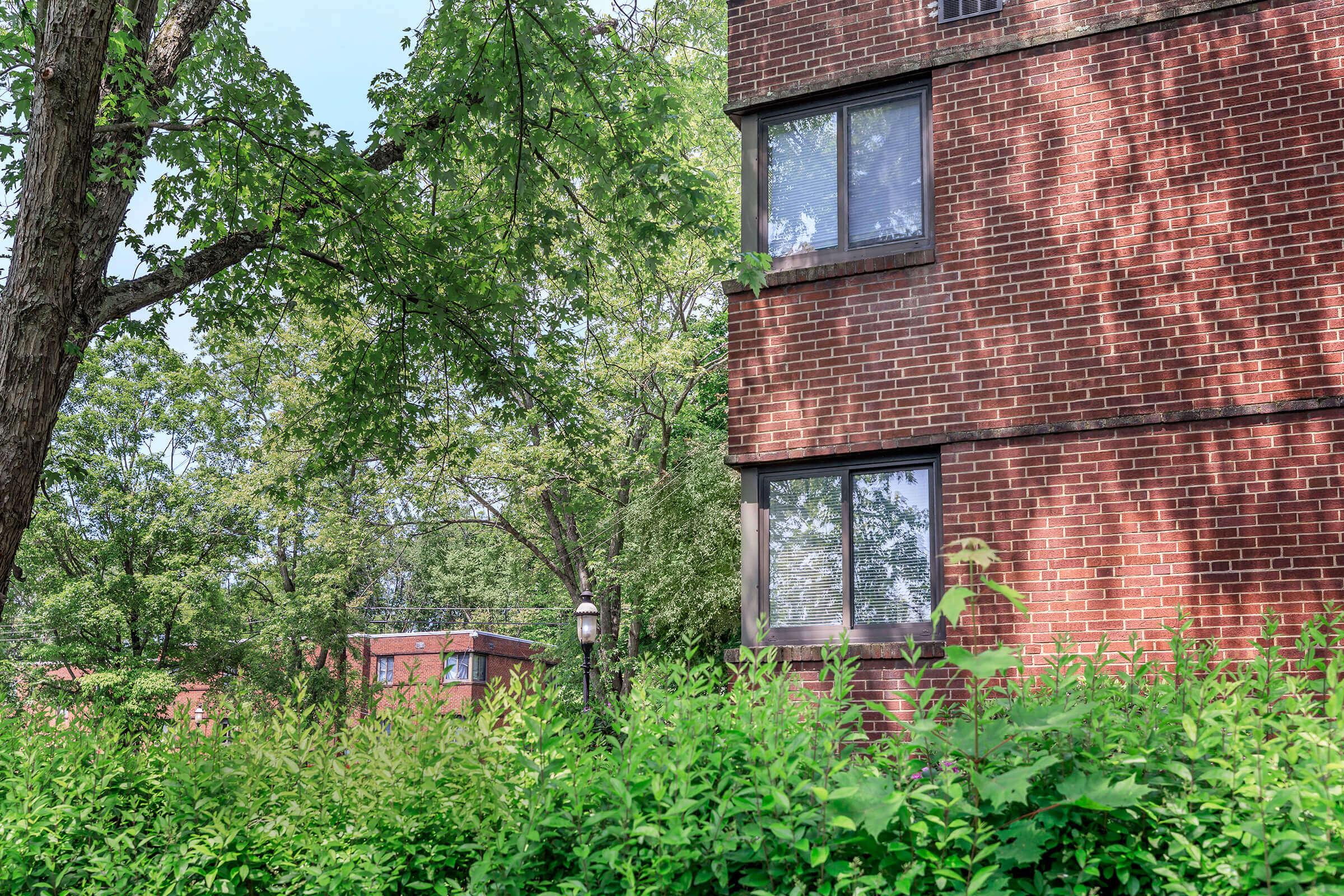 A brick building partially obscured by lush green bushes and trees. Natural sunlight filters through the leaves, casting shadows on the building's exterior. Two windows of the building are visible, providing a glimpse of the greenery surrounding it.