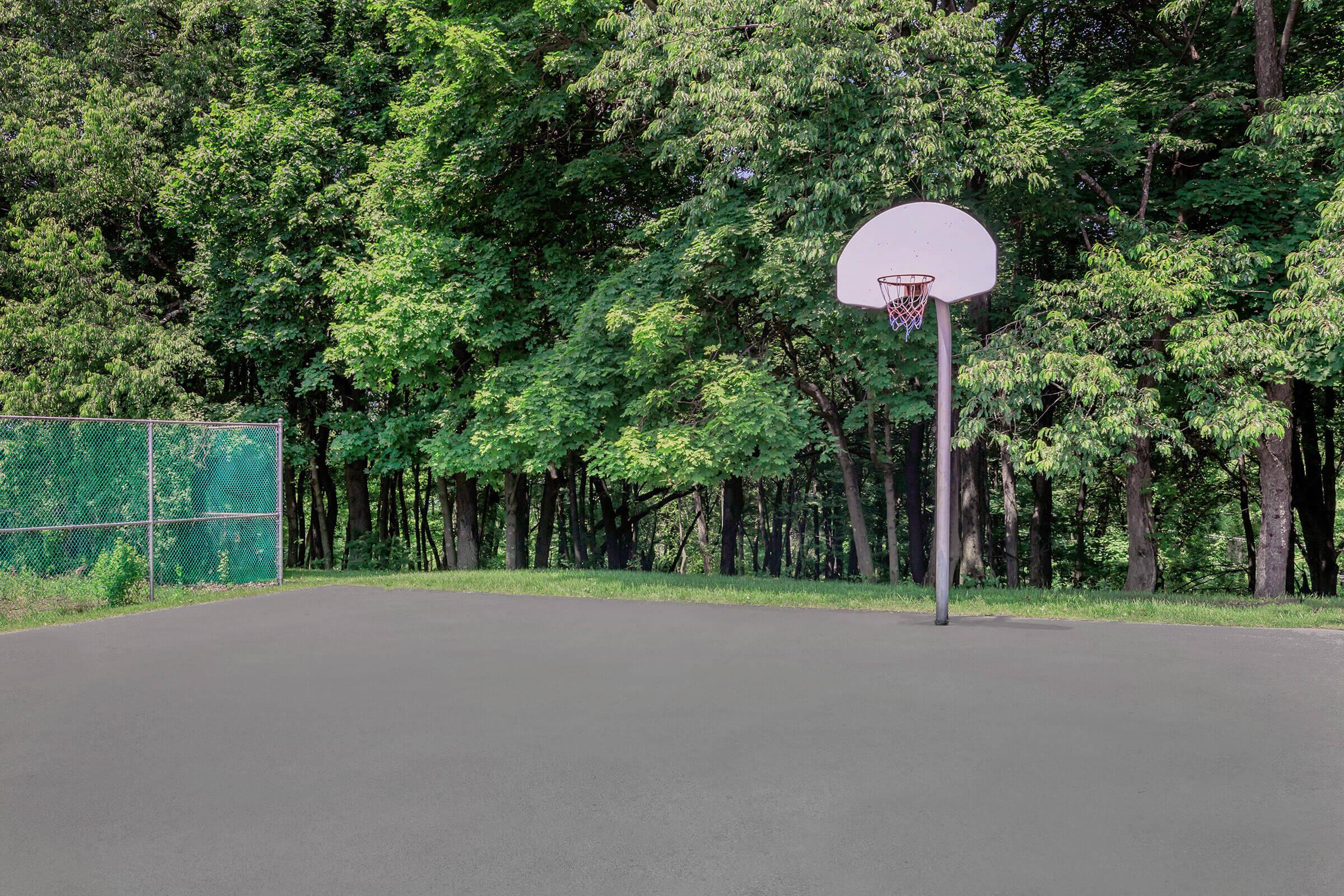 A deserted outdoor basketball court surrounded by dense green trees. The court features a hoop with no net, positioned on a grey asphalt surface. In the background, a chain-link fence encloses the area, with vibrant foliage providing a natural setting. Bright daylight enhances the serene atmosphere.