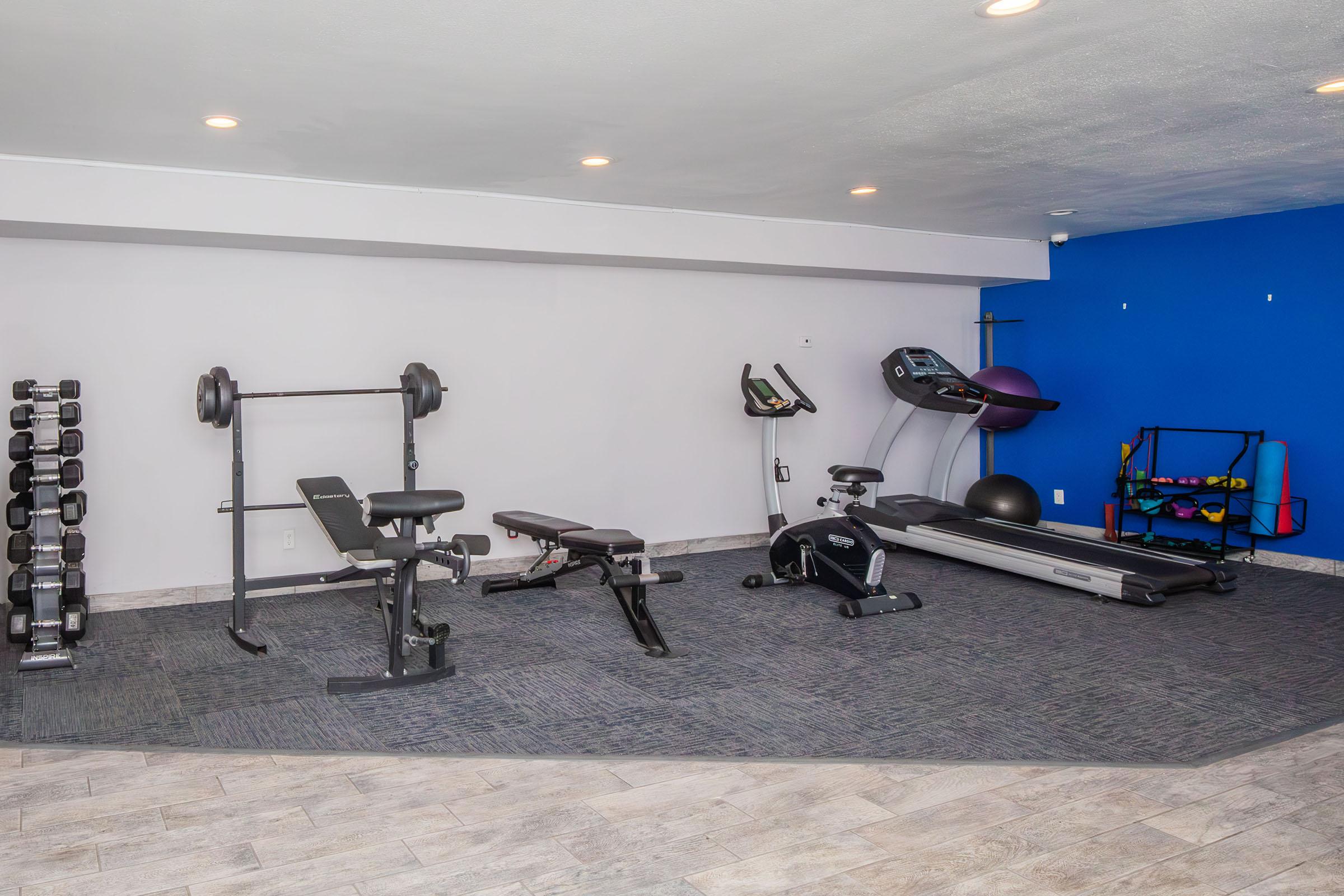 A modern gym interior featuring a weight bench, dumbbells, a treadmill, an exercise bike, and a stability ball. The space has gray flooring and blue accent wall with ample lighting, creating an inviting workout environment.