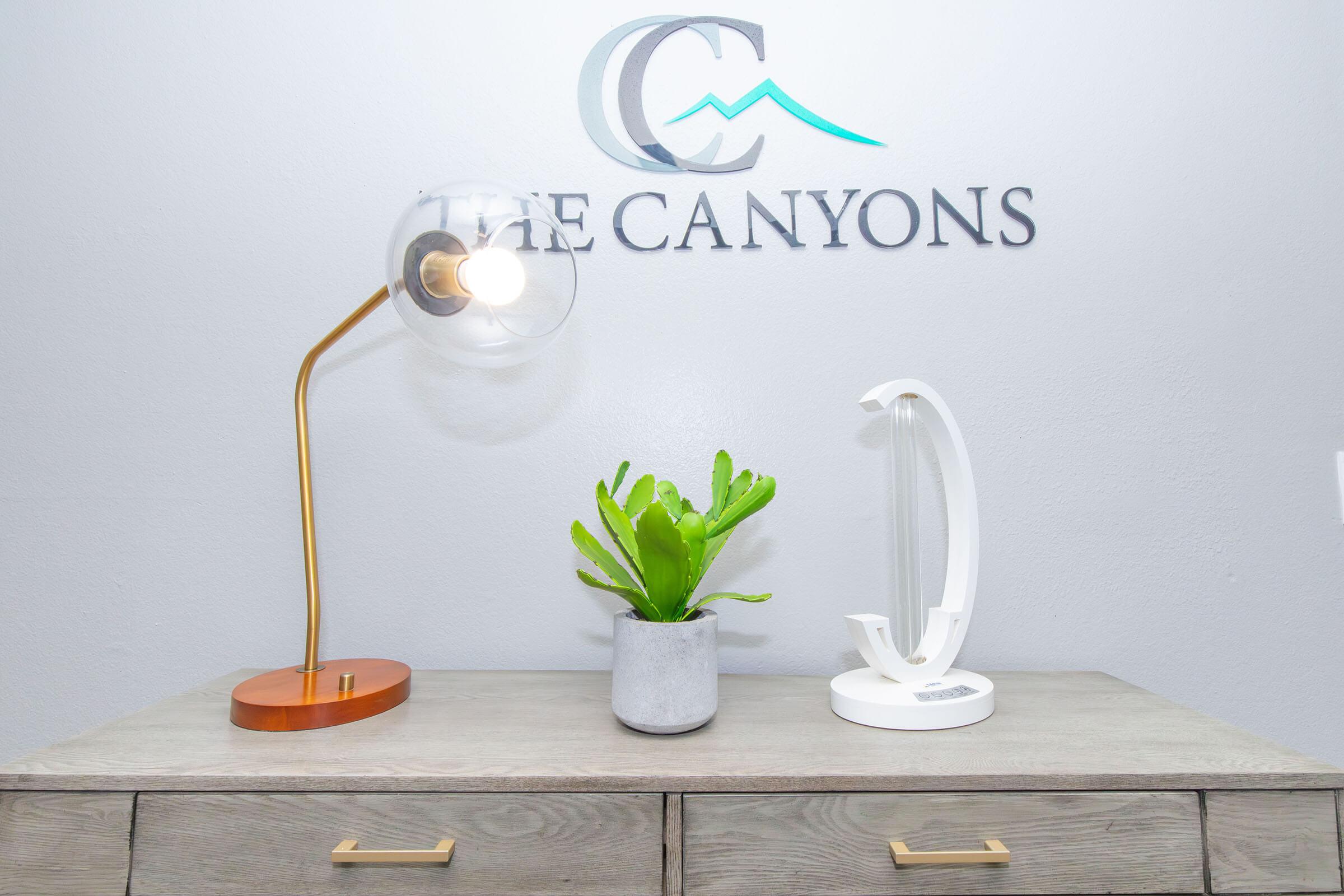 A stylish tabletop scene featuring a gold and glass lamp, a small potted green plant in a concrete pot, and a modern white desk lamp. The background displays the text "THE CANYONS" in an elegant font. The overall aesthetic is contemporary and inviting.