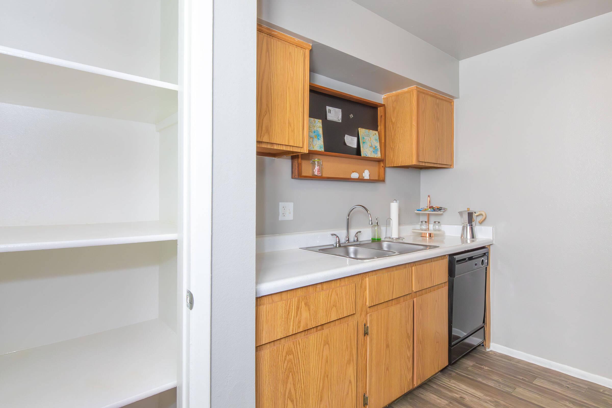 Modern kitchen featuring wooden cabinets, a double sink, a stainless steel dishwasher, and a countertop with decorative items. A pantry space is visible on the left. The walls are painted light gray, contributing to a clean and minimalistic aesthetic.