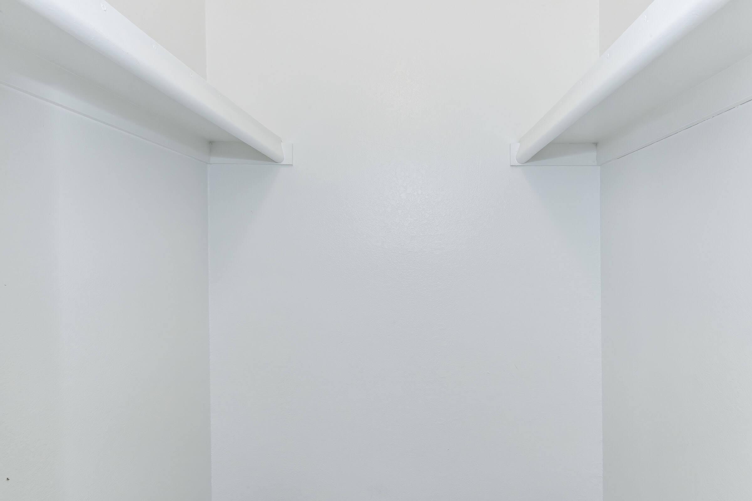Empty white closet with two horizontal rods for hanging clothes, featuring plain white walls and no visible items or shelves.