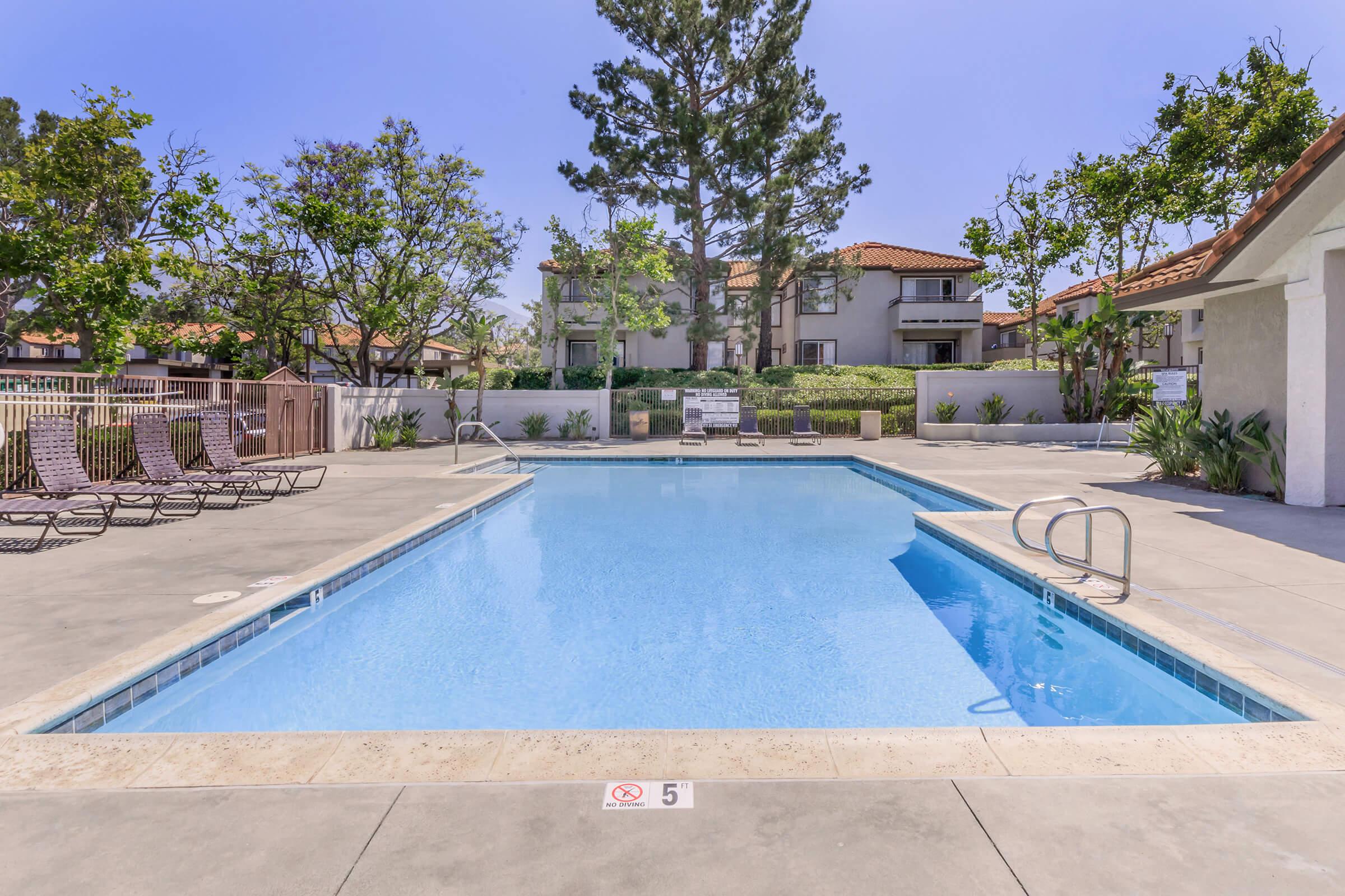 A clear blue swimming pool surrounded by lounge chairs and palm trees, set in a residential area with buildings in the background. The pool deck is spacious and well-maintained, featuring a no diving sign. The sky is bright and sunny, creating a relaxing outdoor atmosphere.