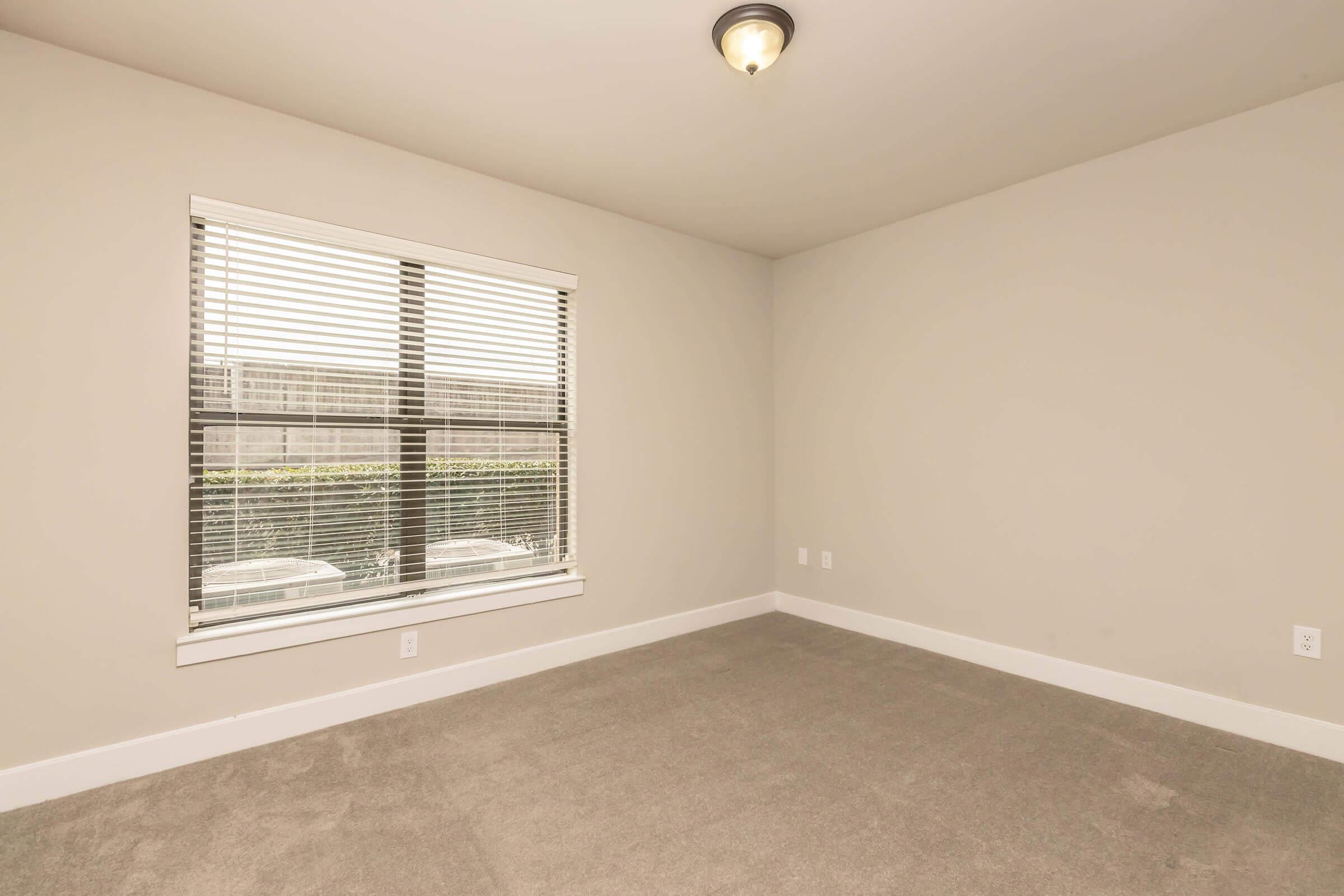 Empty room with light gray carpet and beige walls. A large window with white blinds allows natural light to enter, while a ceiling light fixture provides overhead illumination. The room is spacious with a minimalistic design, featuring a clean and uncluttered appearance.