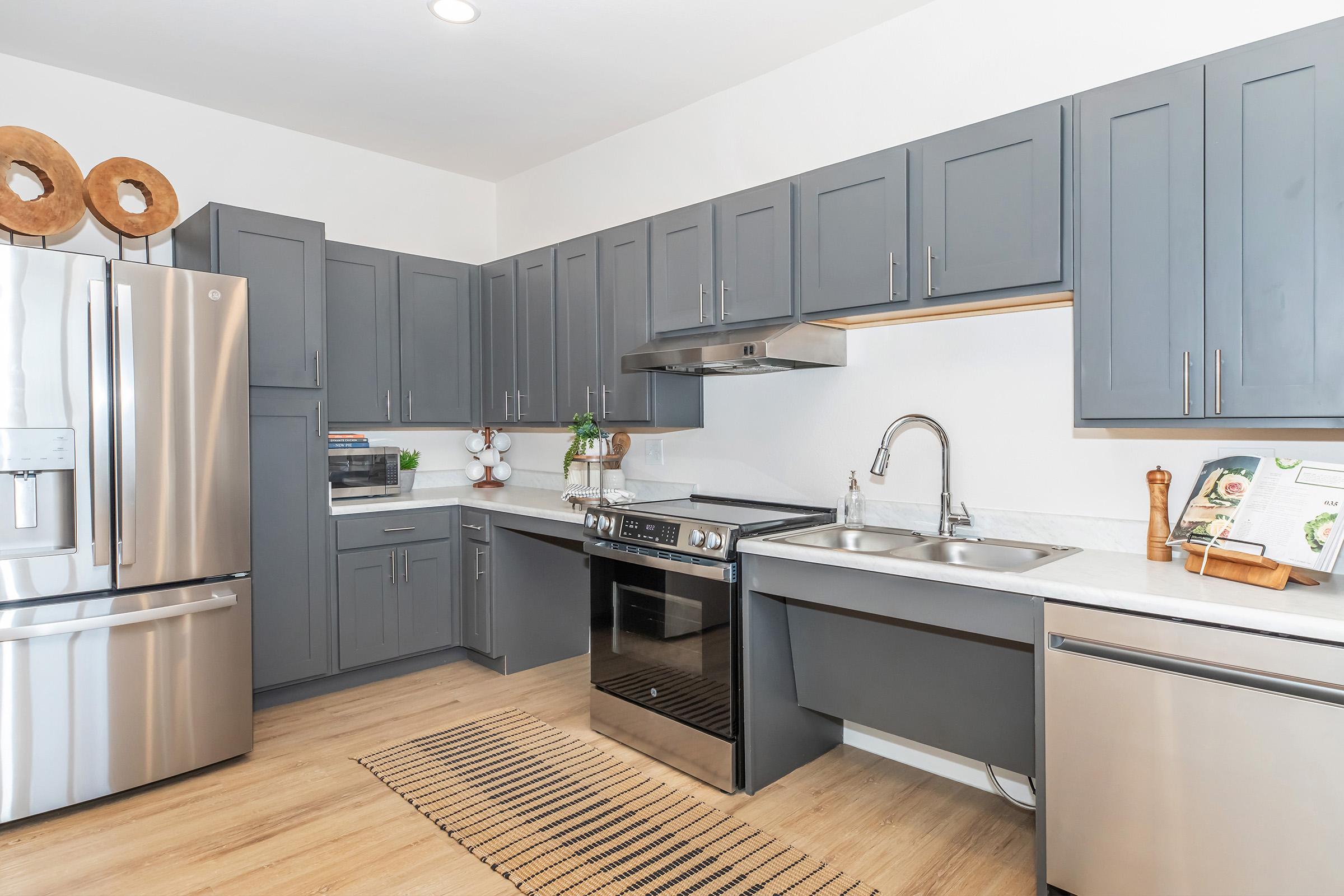 Modern kitchen featuring gray cabinets, stainless steel appliances, and a large fridge. The space includes a stove, a double sink, and a countertop with decorative items. A striped rug runs along the floor, adding a touch of warmth to the contemporary design.
