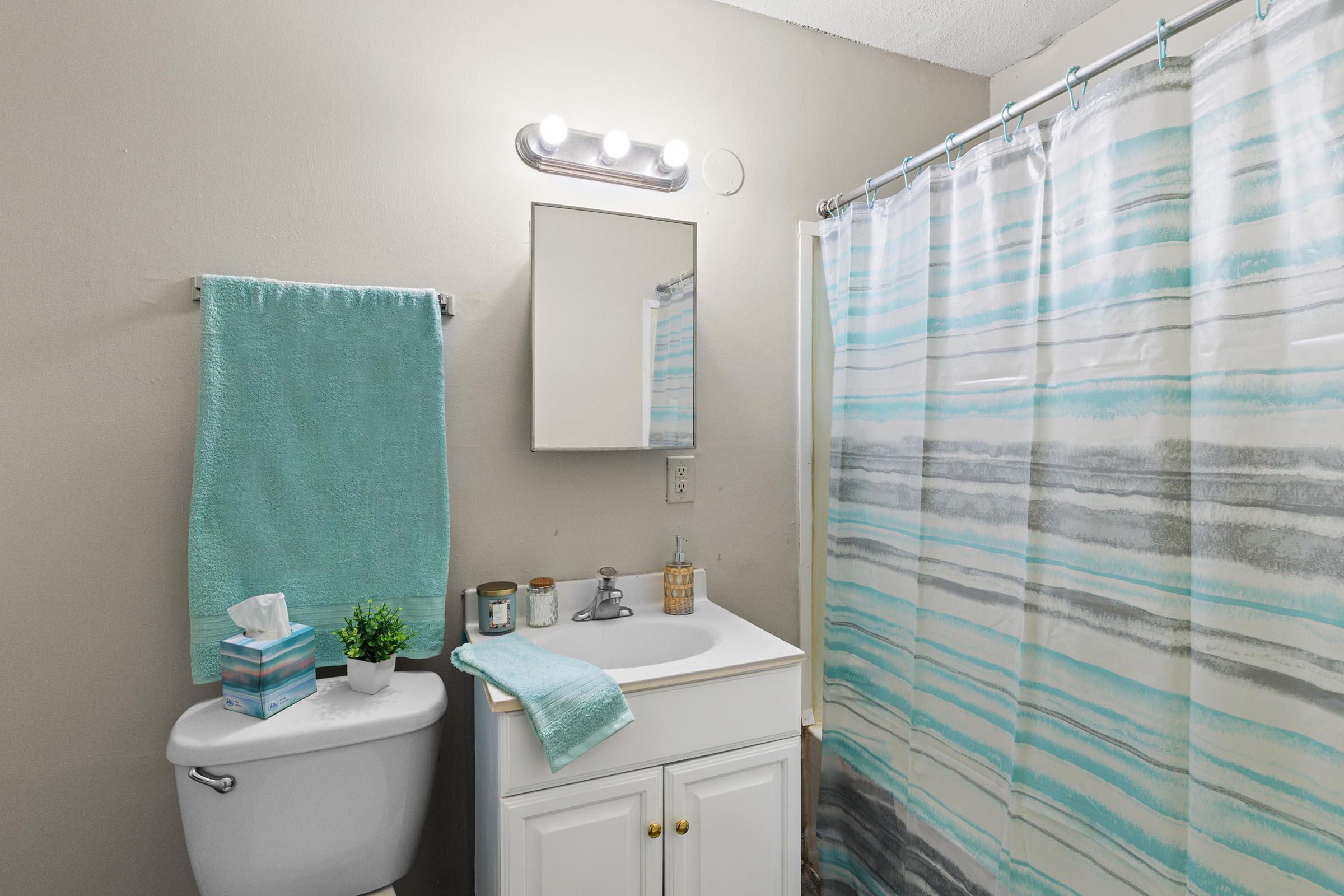 A clean and modern bathroom featuring a white sink vanity with a mirror above, a toilet, and a shower curtain with blue and gray stripes. There are decorative items like a small plant and tissues, along with a light fixture above the mirror. A turquoise towel hangs on the wall.