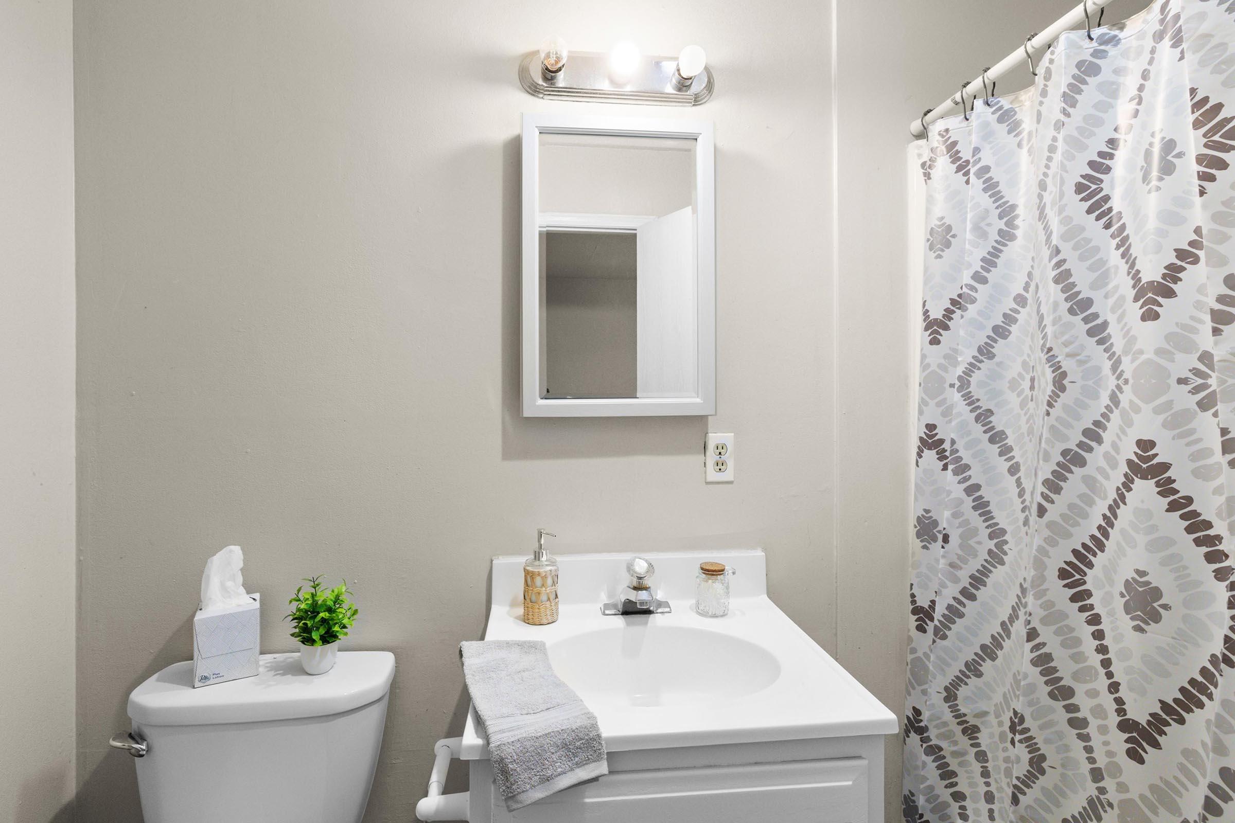 A clean, modern bathroom featuring a white vanity with a sink, a mirror mounted above it, a small potted plant, and a soap dispenser. The toilet is beside the vanity, and a shower curtain with a geometric pattern hangs in the background. Soft lighting enhances the serene atmosphere.