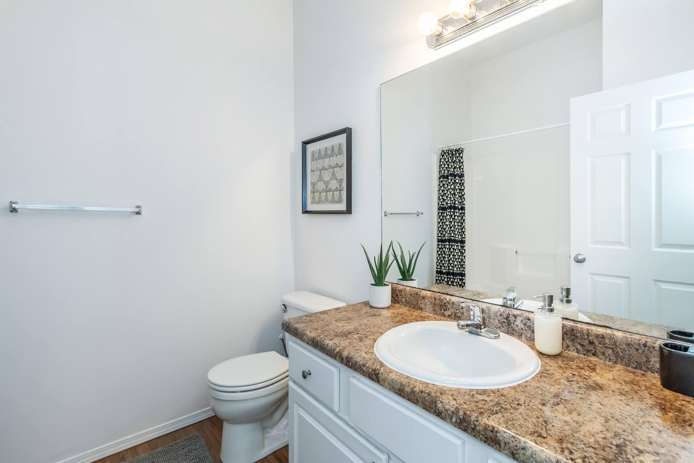 A clean, modern bathroom featuring a white vanity with a round sink, a granite countertop, a large mirror, and minimalistic decor. There is a toilet in the corner, a towel rack on the wall, and a small potted plant on the counter, with light-colored walls and wood-like flooring.