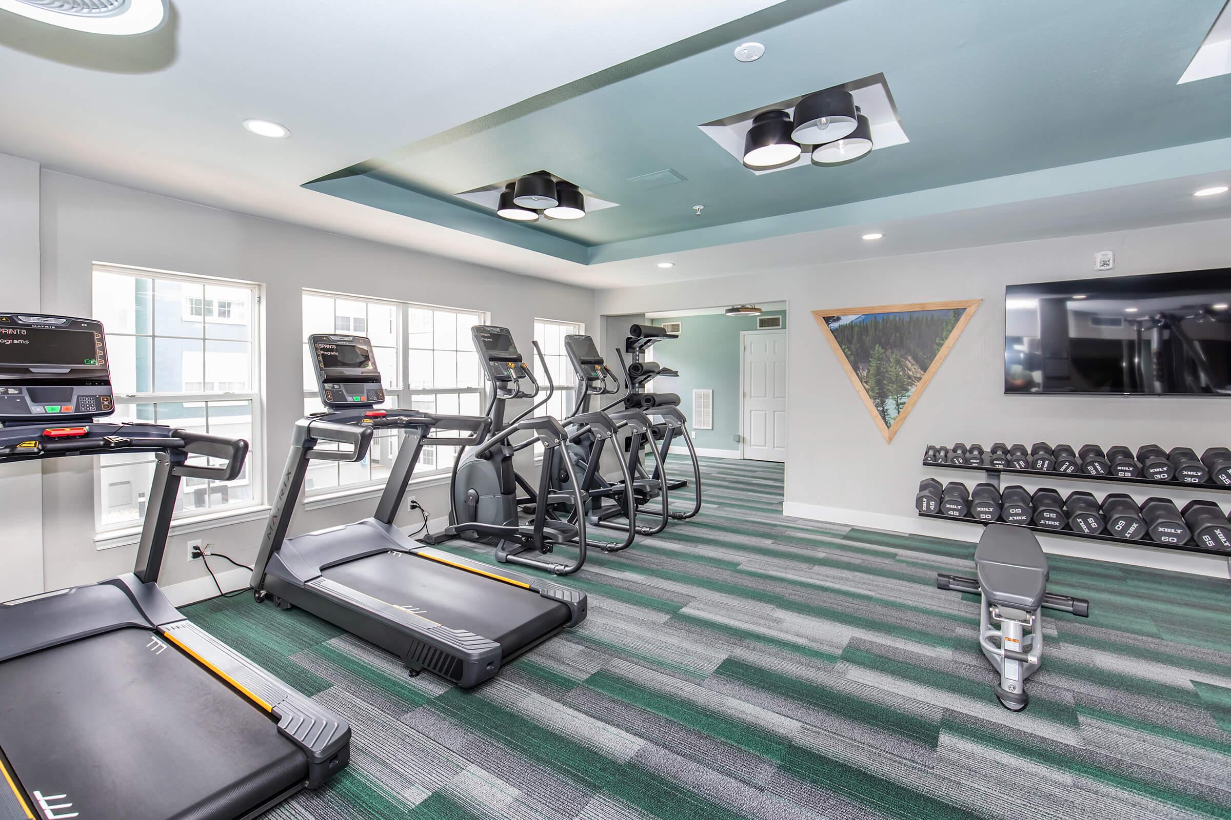 A modern fitness room featuring multiple treadmills and elliptical machines, with free weights neatly arranged on a rack. Large windows allow natural light to fill the space, creating an inviting atmosphere for workouts. The walls are painted in light colors, contributing to a clean and contemporary design.