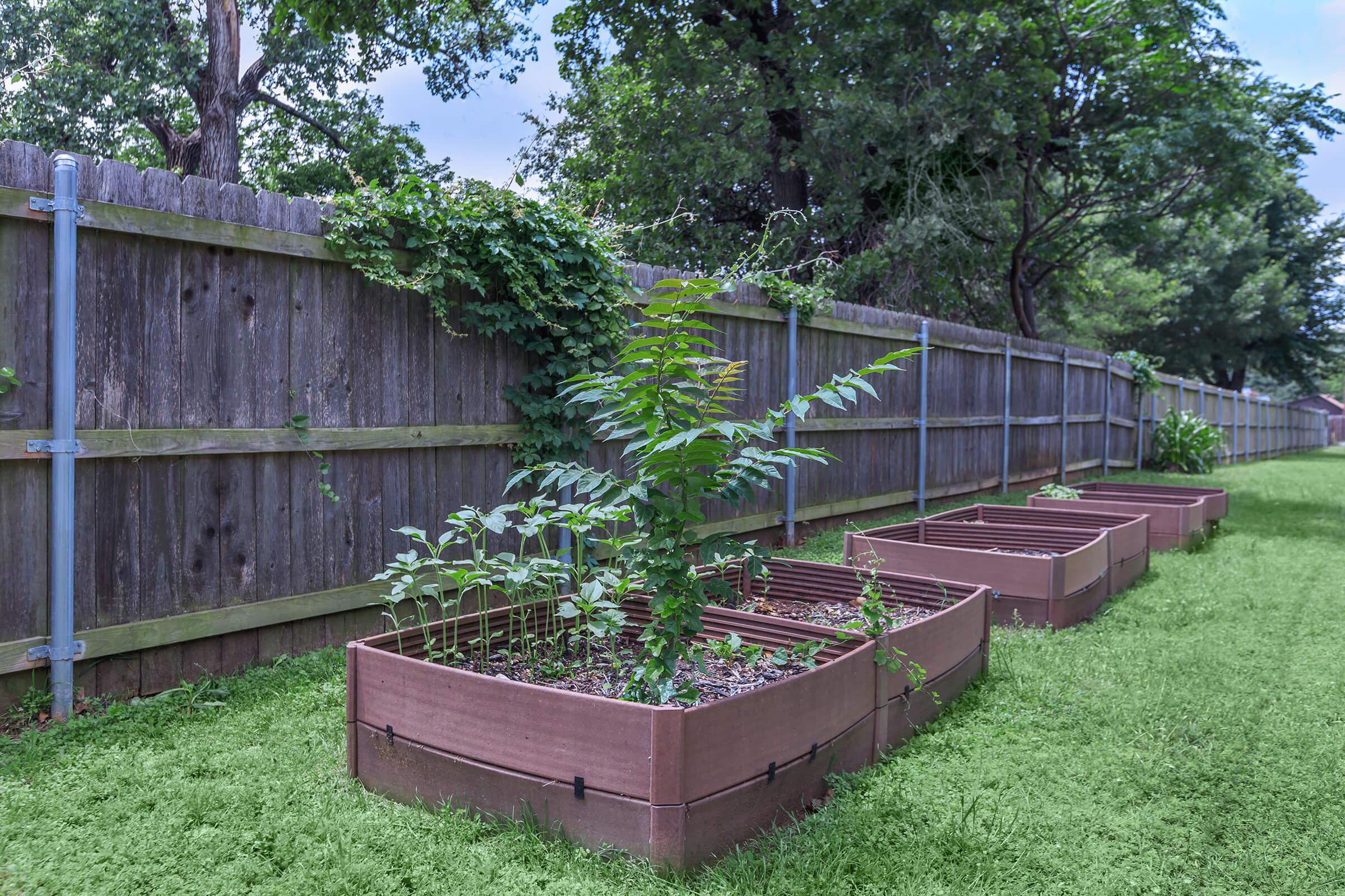 a garden with a green lawn