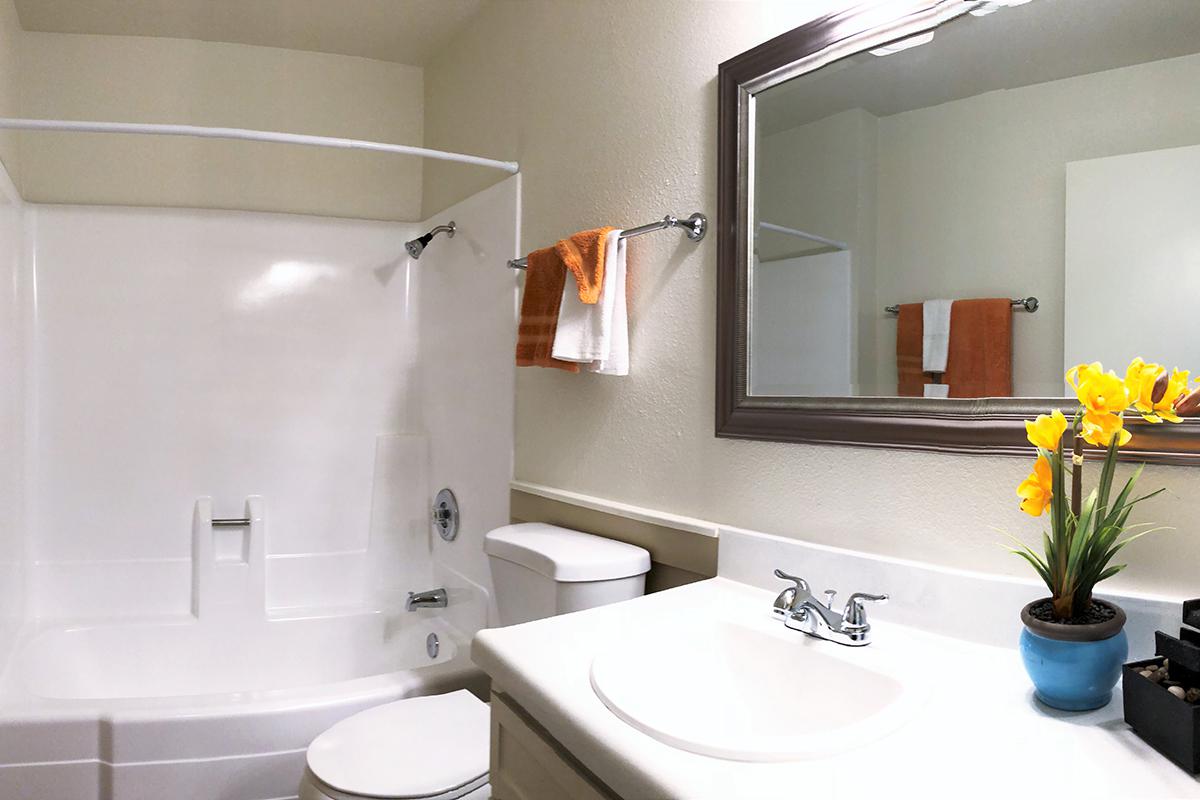 a white sink sitting under a mirror