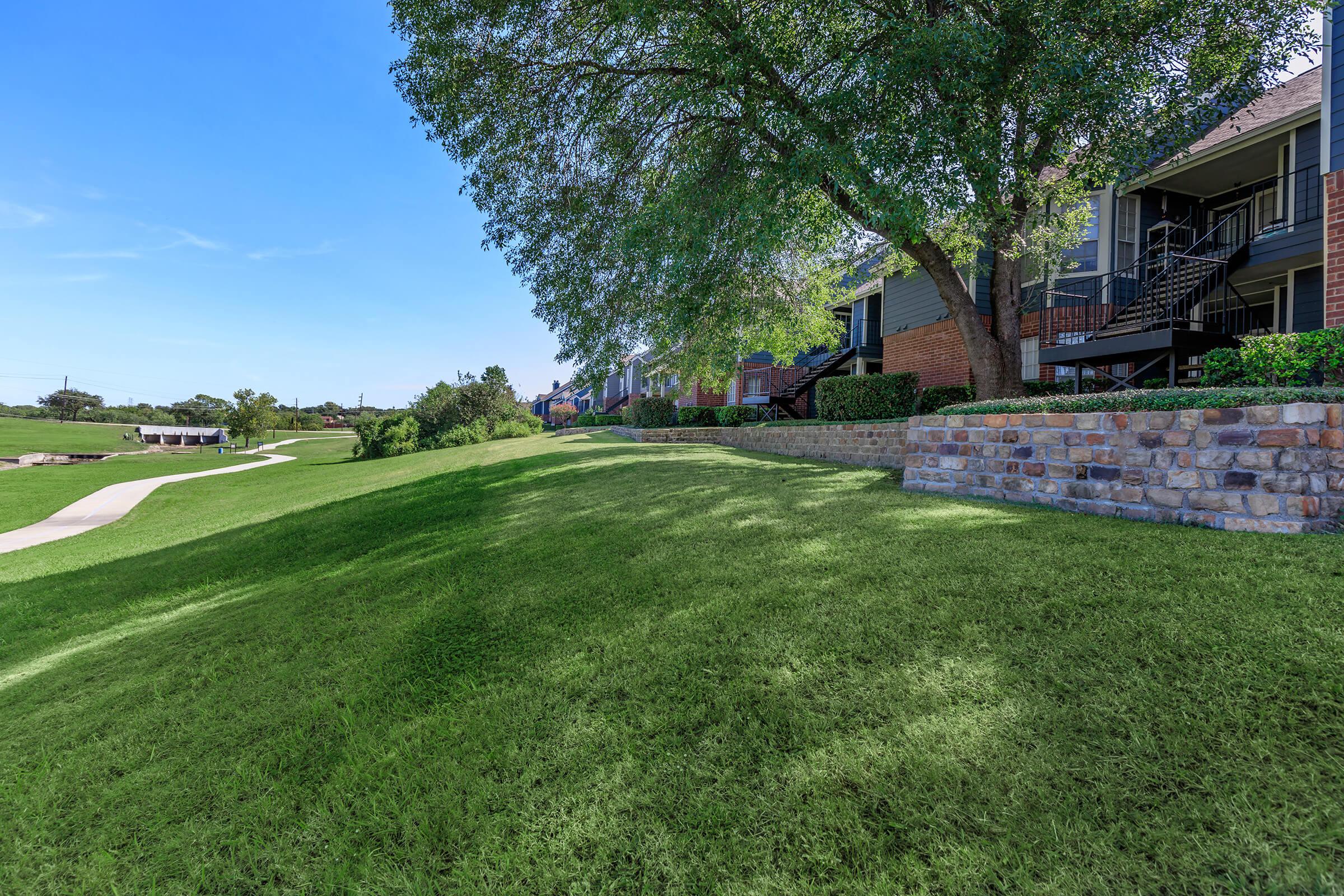 MATURE SHADE TREES