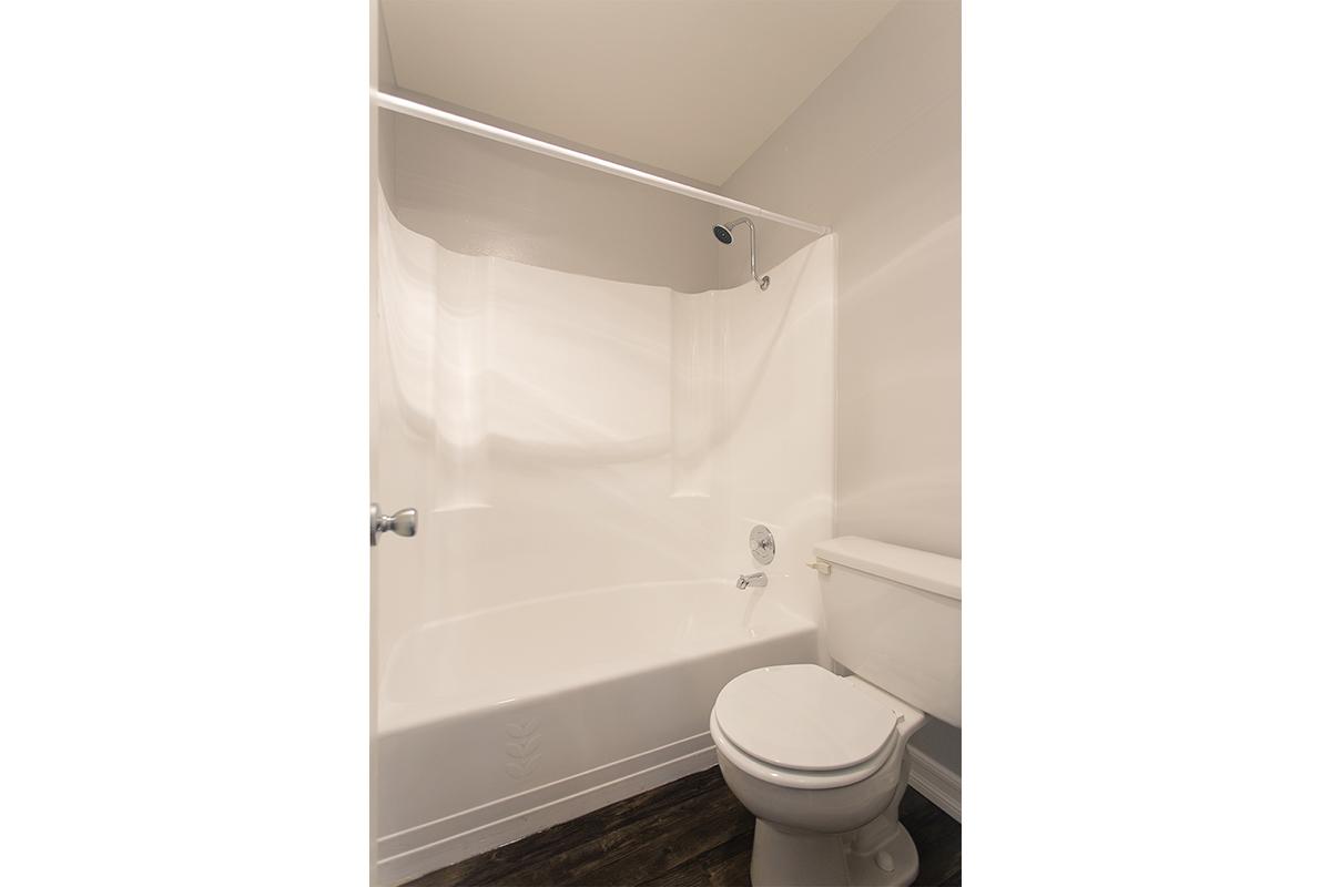 a brown and white shower curtain