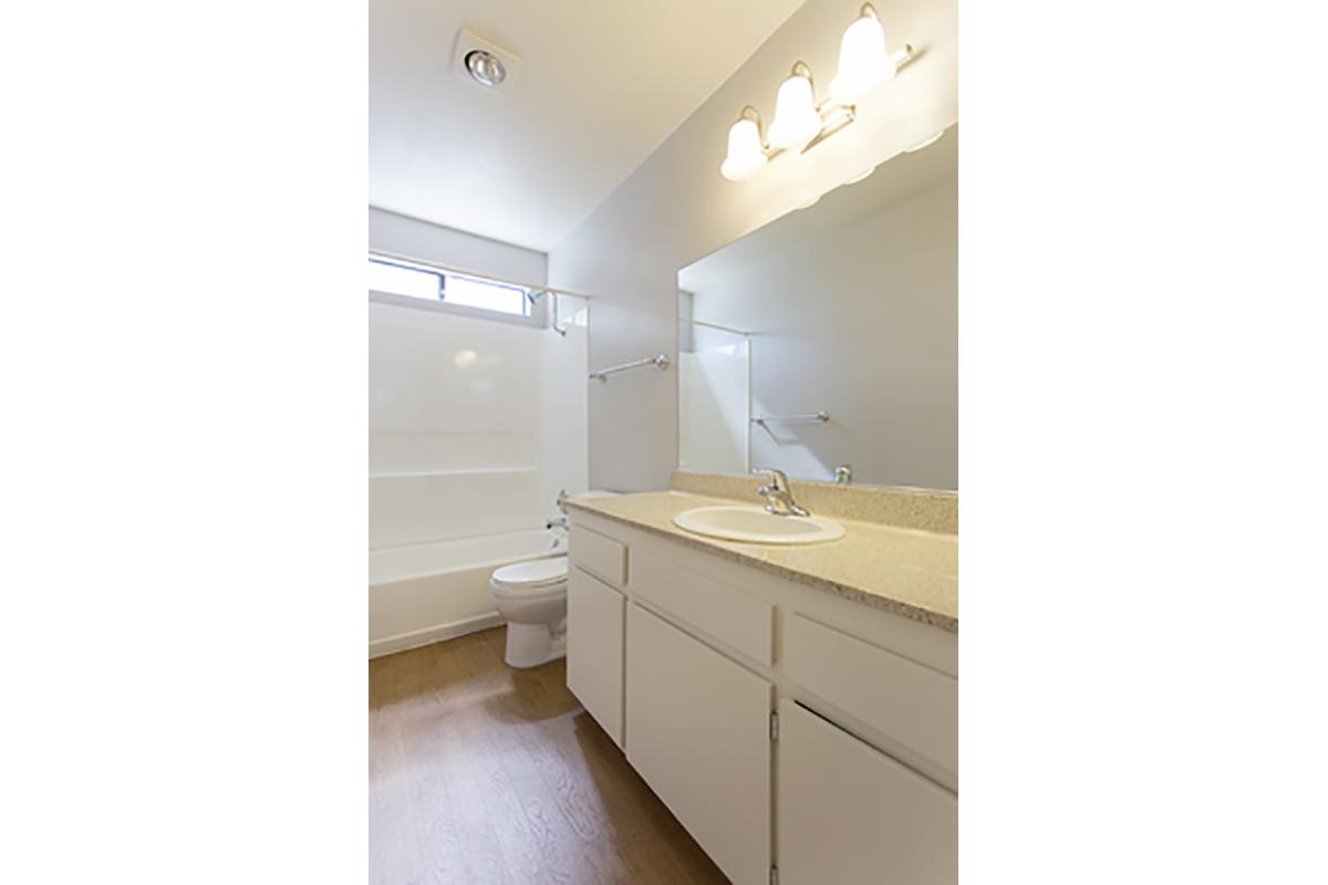 a kitchen with a sink and a mirror