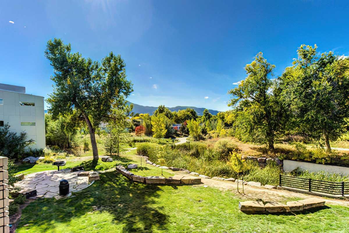 A sunny outdoor landscape featuring a well-maintained lawn with stone pathways.