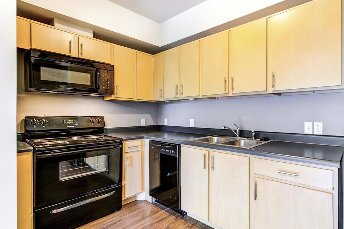 Modern kitchen featuring wooden cabinets and blackappliances. Includes a black refrigerator, oven, and microwave, with a double sink and dishwasher.