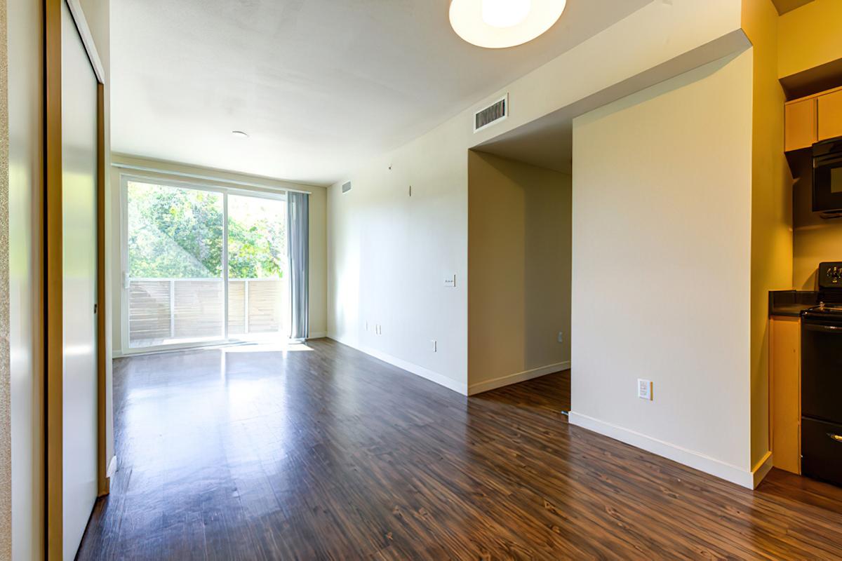 A spacious, bright living area featuring hardwood-style flooring, large windows with a view of trees, and a modern kitchen.