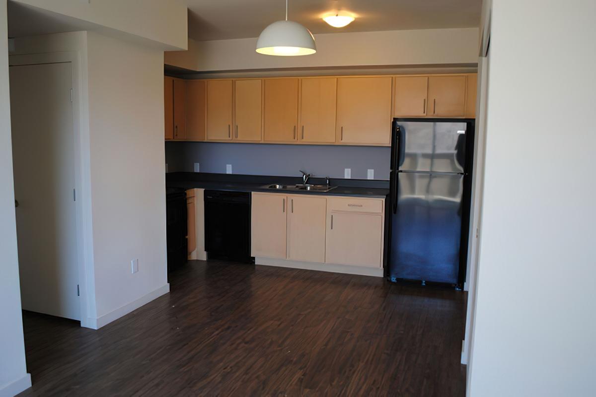 A modern kitchen with light-colored cabinets and dark countertops. It features a black refrigerator, black dishwasher, and sink. T
