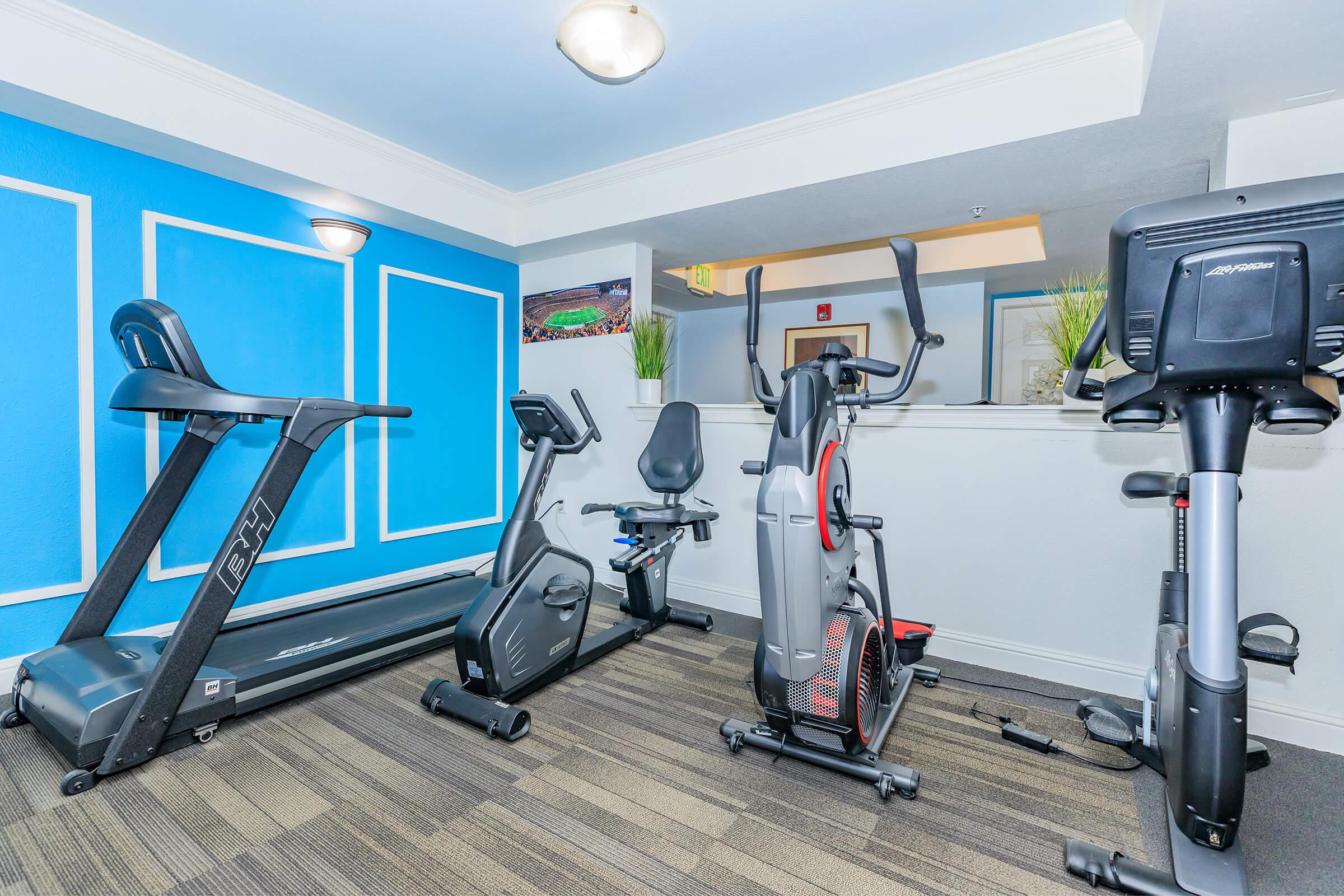 A modern fitness room featuring a treadmill, stationary bike, elliptical machine, and weight bench against a blue wall. The space is well-lit, with plants adding a touch of greenery, creating a welcoming environment for exercise.