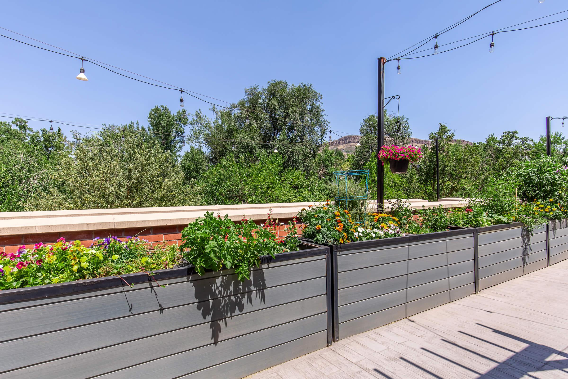 A sunny outdoor space featuring raised garden beds filled with colorful flowers and plants. Green trees are visible in the background, and decorative string lights hang above, enhancing the inviting atmosphere of the area. The setting is bright and well-maintained, perfect for relaxation or social gatherings.