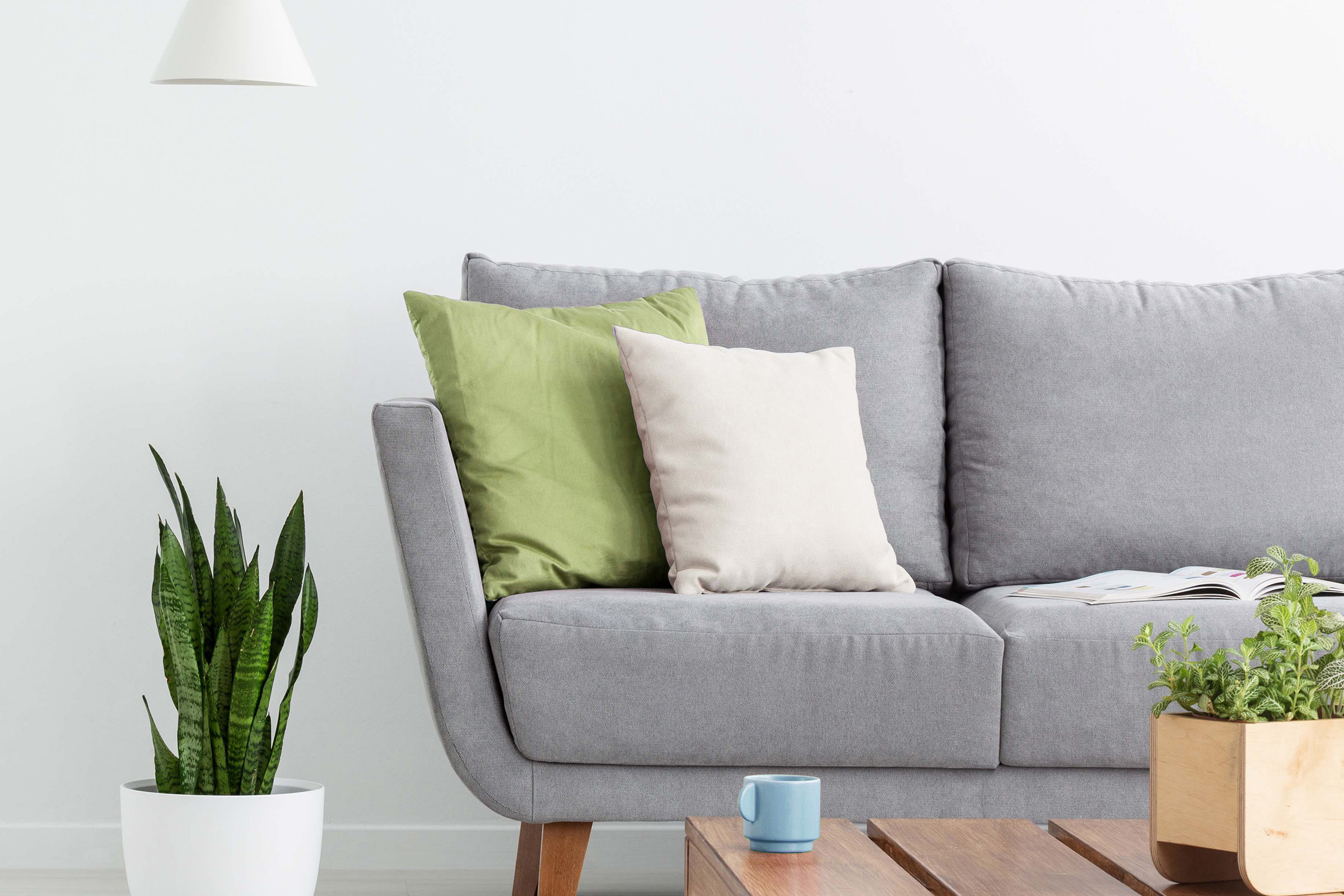 Apartment Features