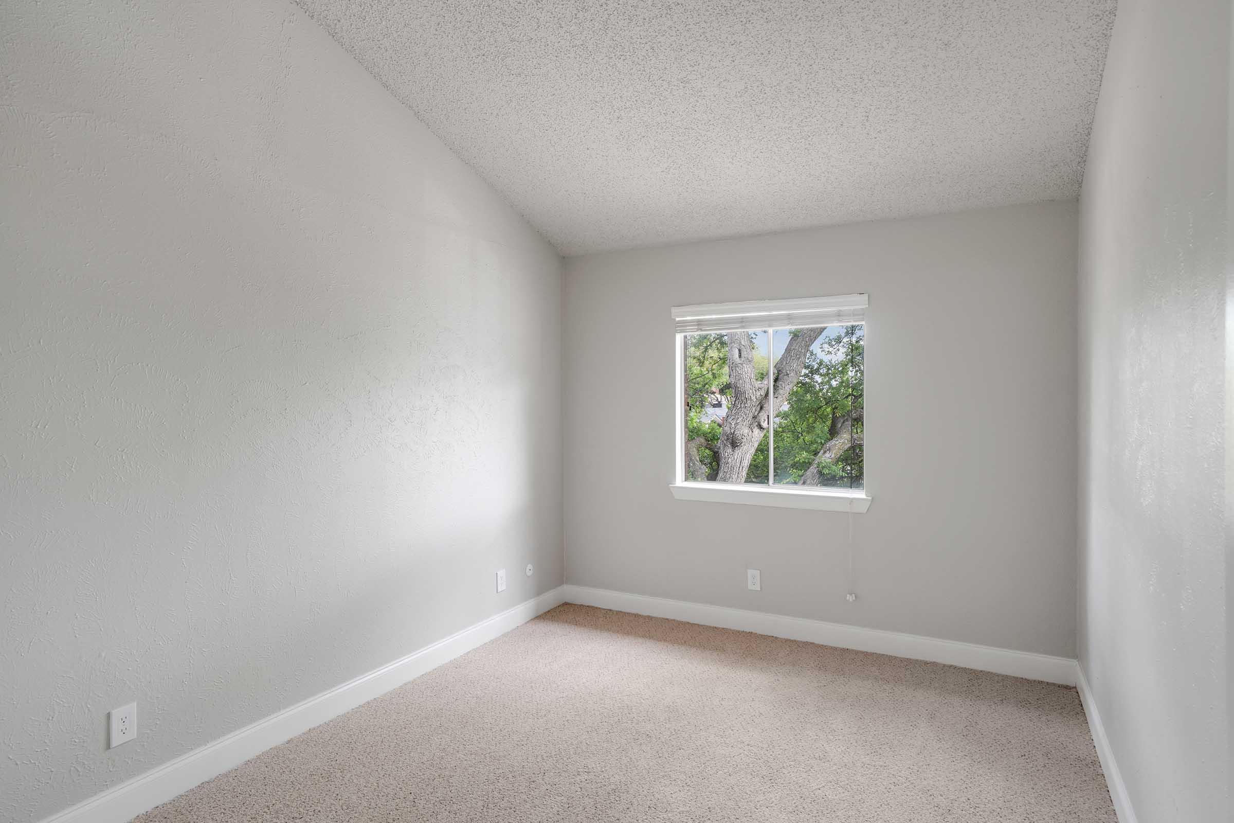 A quiet, empty room with light gray walls and soft beige carpet. A single window allows natural light to enter, overlooking green trees outside. The ceiling is slightly angled, adding architectural interest to the space. No furniture is present, giving it a fresh and spacious feel.