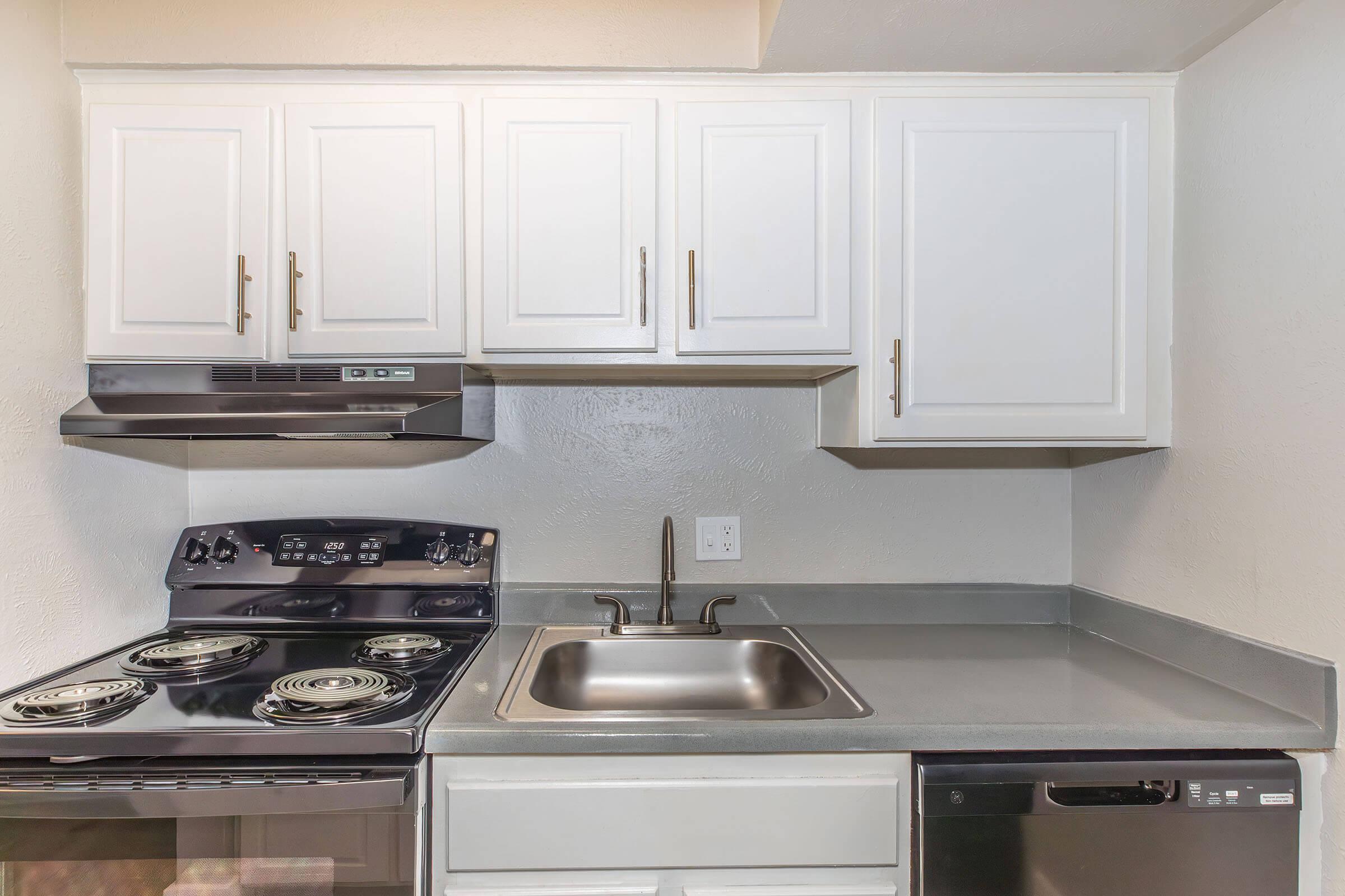 Modern kitchen with white cabinetry, a black stove, a stainless steel sink, and a dishwasher. The countertop is gray. The kitchen has an overhead range hood and a simple wall design, creating a clean and functional cooking space.