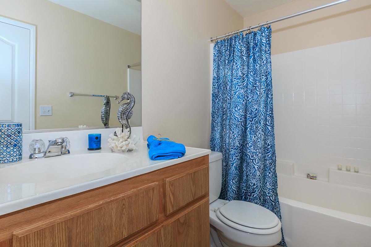 a blue and white shower curtain