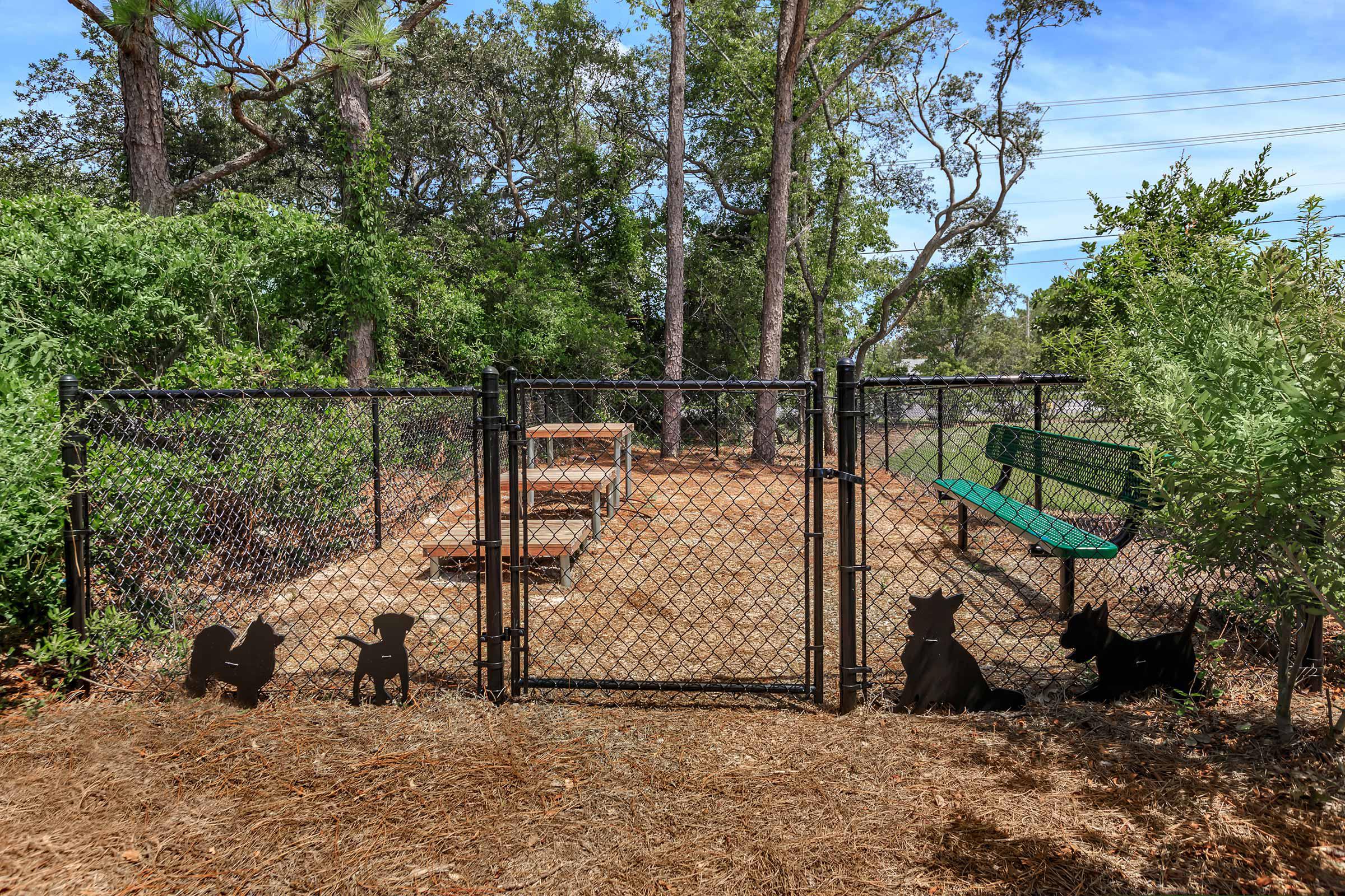 Play fetch with your pets at The Townhomes at Beau Rivage in Wilmington, NC.