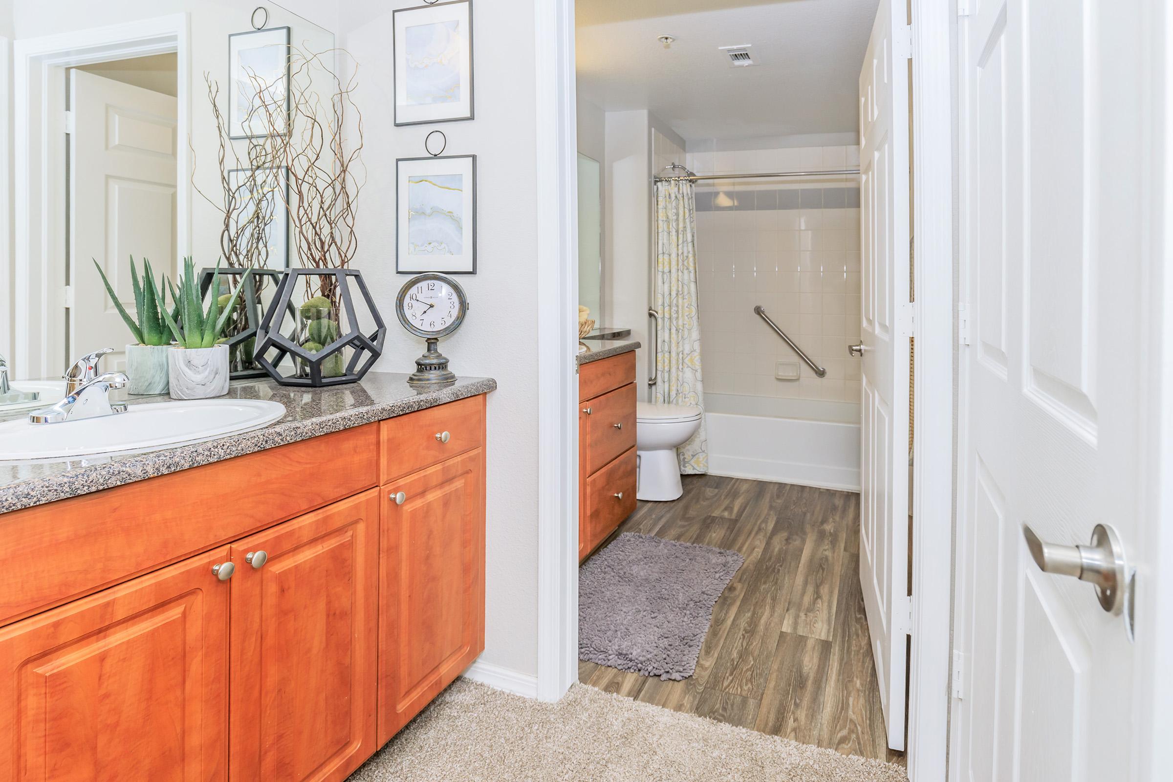 Modern bathroom interior featuring a double sink vanity with wooden cabinets, a decorative clock, and plants. A shower curtain is visible in a separate bathing area, with light-colored tiles and a soft rug. The space is well-lit and designed with a contemporary aesthetic.