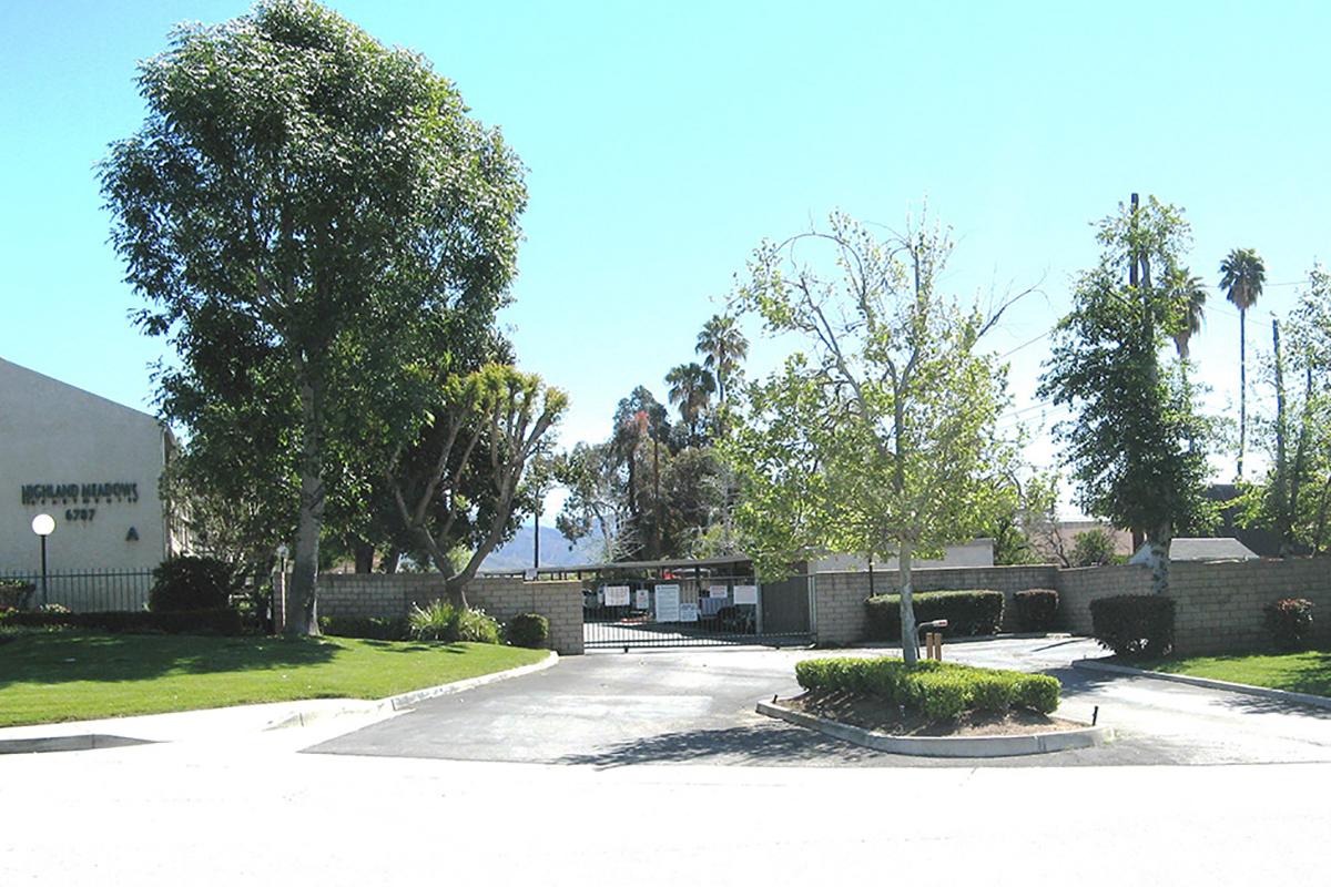 a tree in front of a house