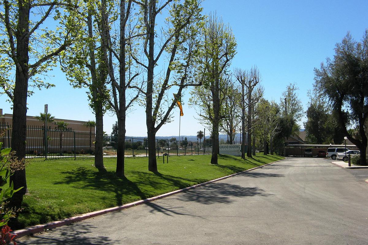 a path with trees on the side of a road