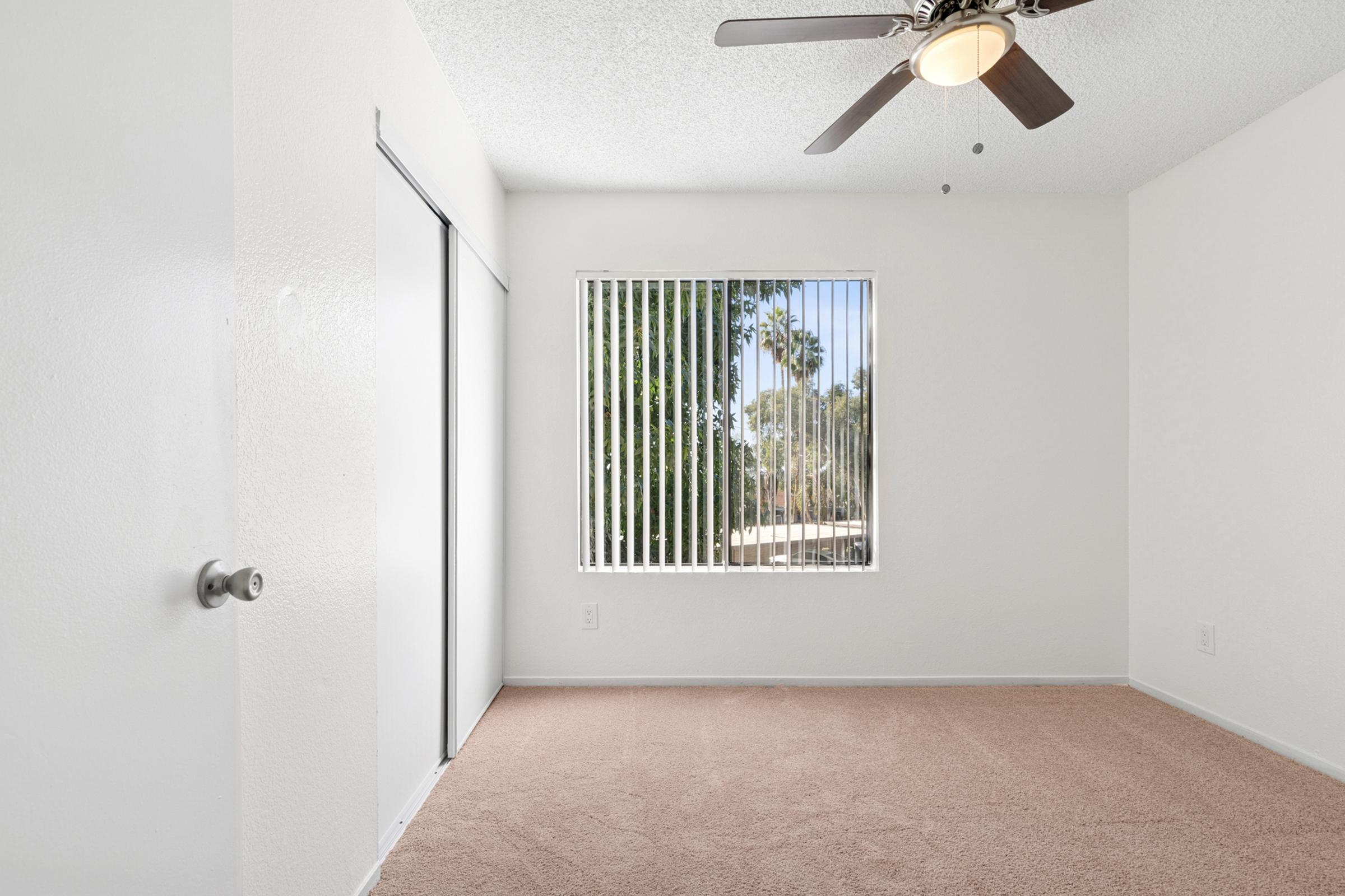 A clean, empty room featuring a light-colored carpet, a ceiling fan, and white walls. A large window with vertical blinds allows natural light to enter, revealing a view of trees outside. There's a closet door on the left side of the room, contributing to the spacious feel.