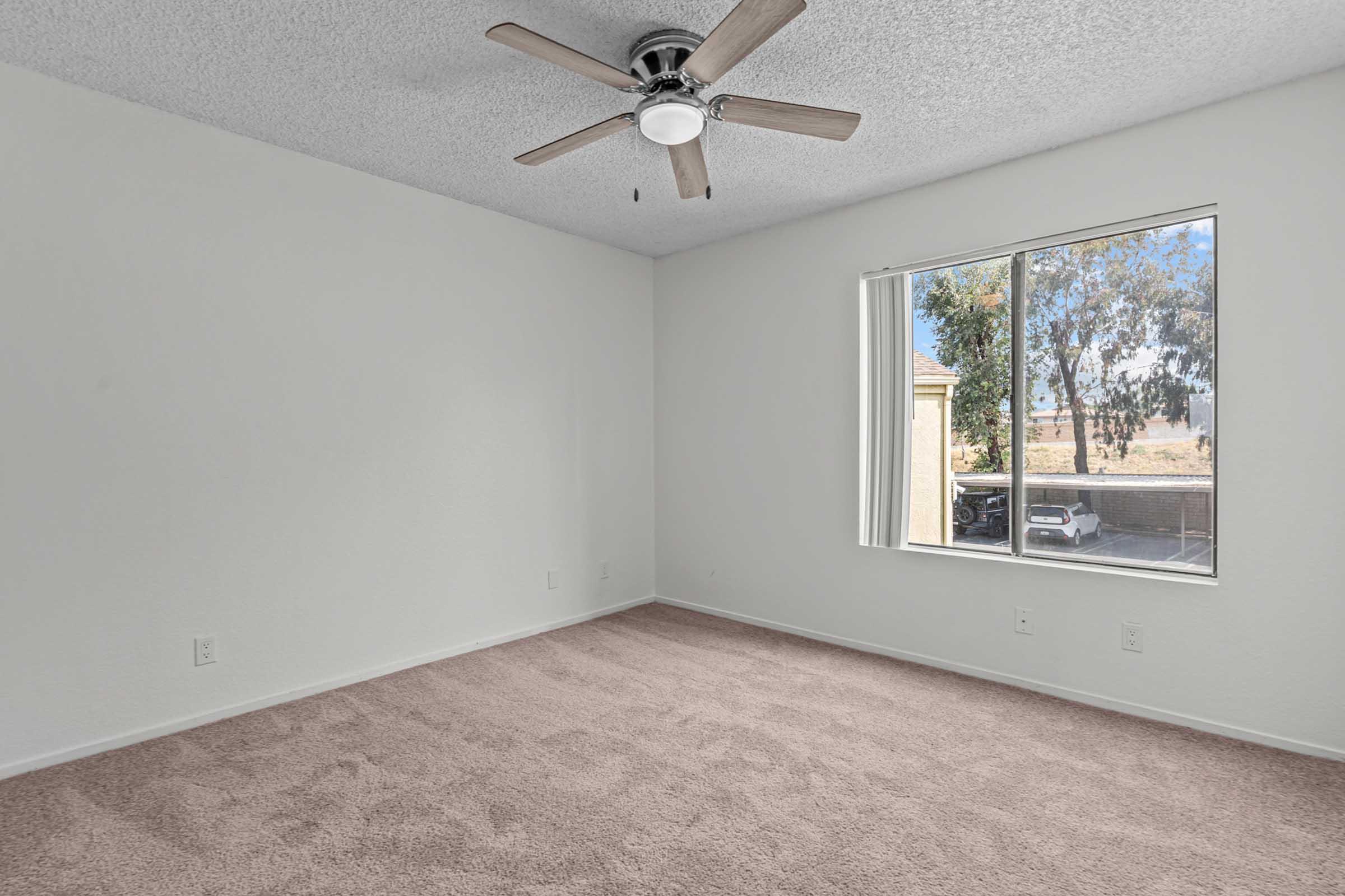 Empty room with a light-colored wall and plush beige carpet. A ceiling fan with wooden blades is installed, and a large window lets in natural light, showing a view of trees and a parked car outside. The room has a clean, spacious feel and minimal decor.