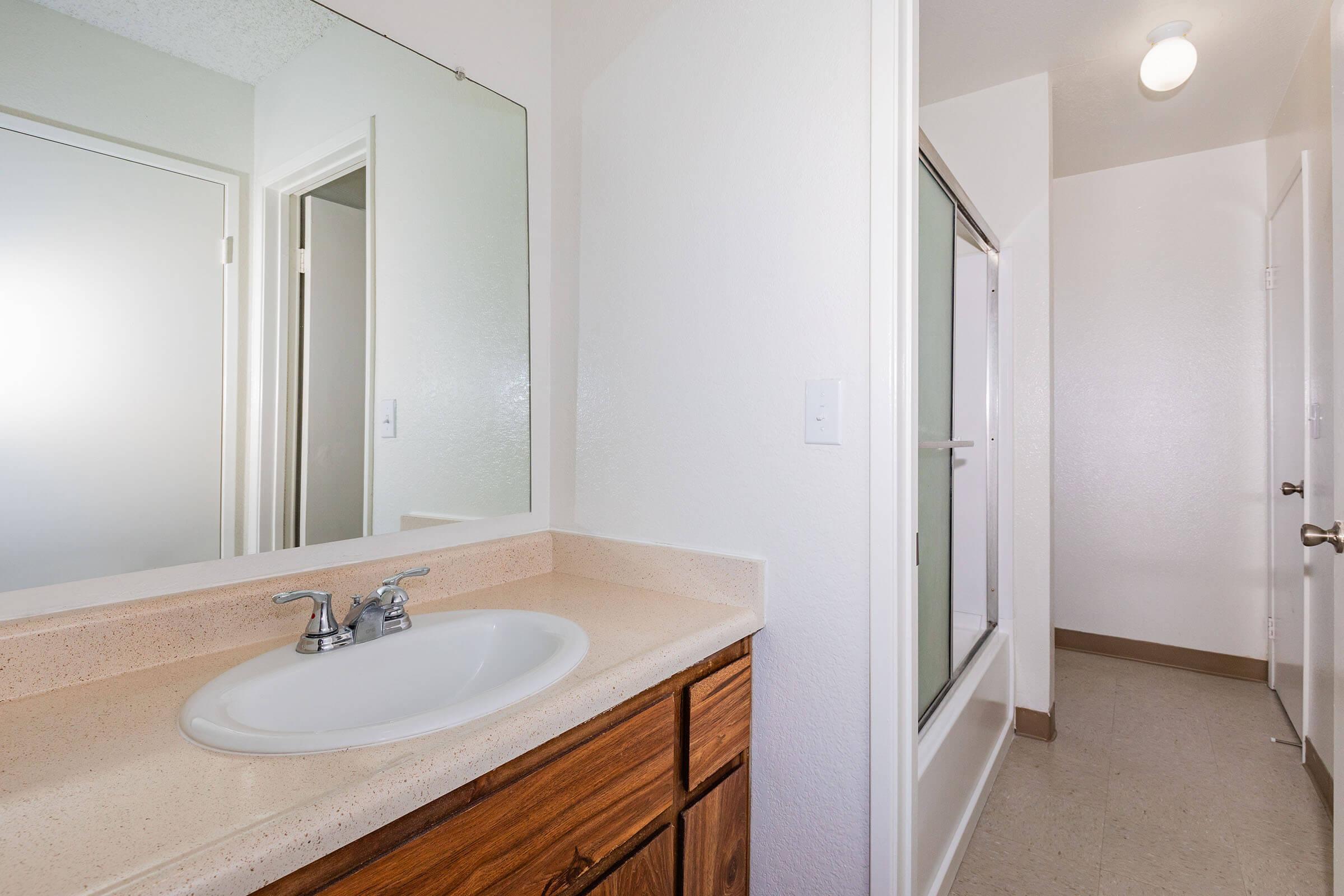 a double sink and large mirror