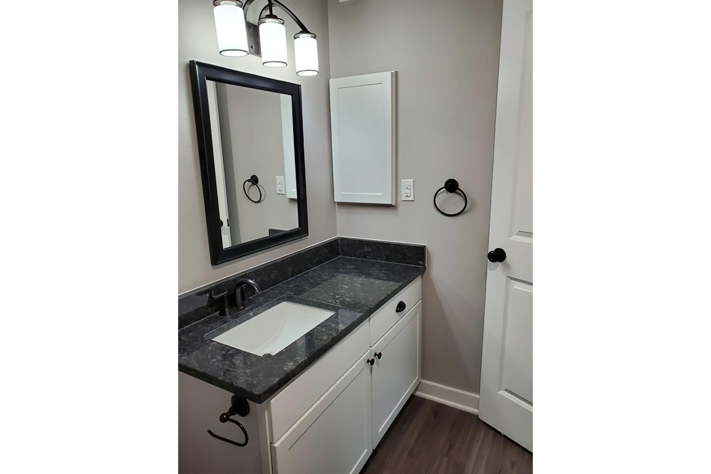 a sink and a mirror