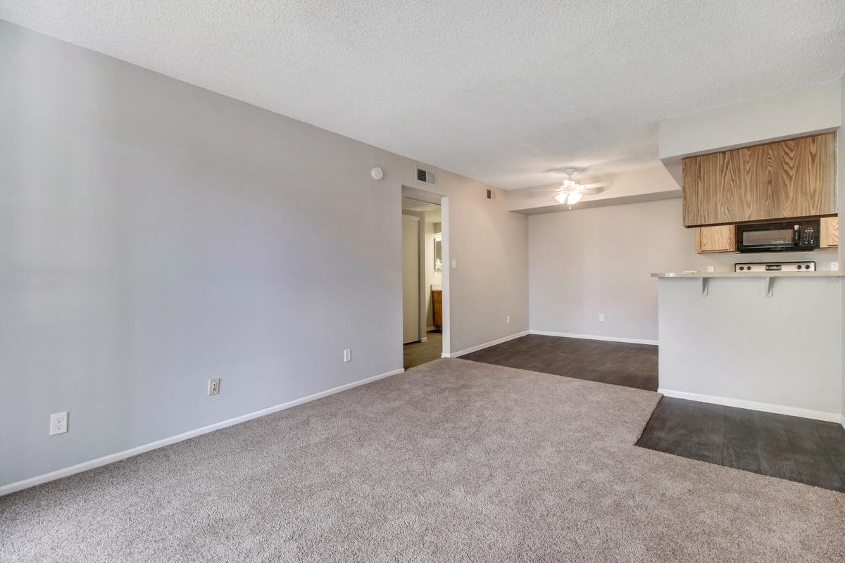 a large empty room